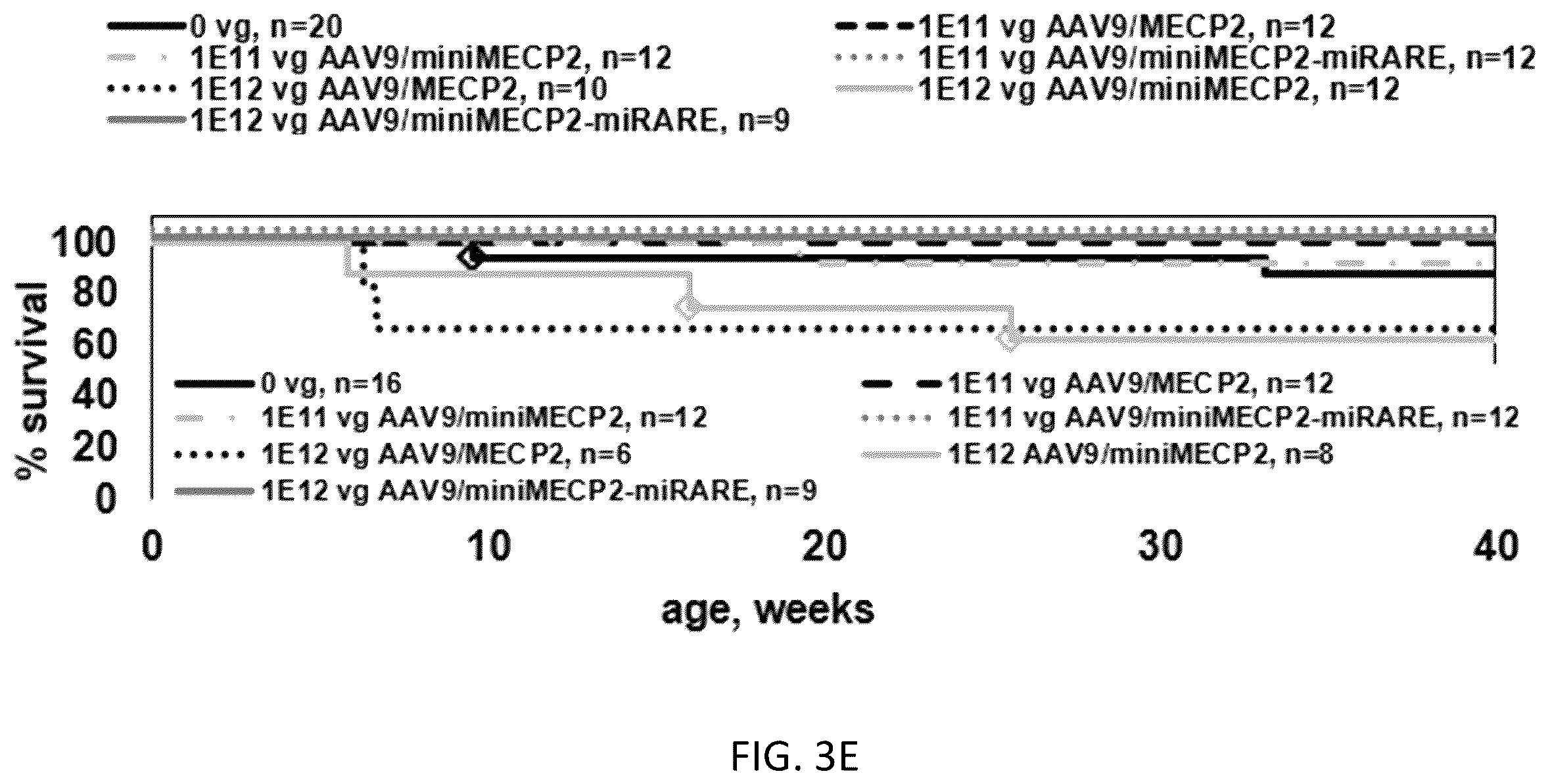 Patent US12359219 Figure 11 – Transgene cassettes designed to express a human MECP2 gene
