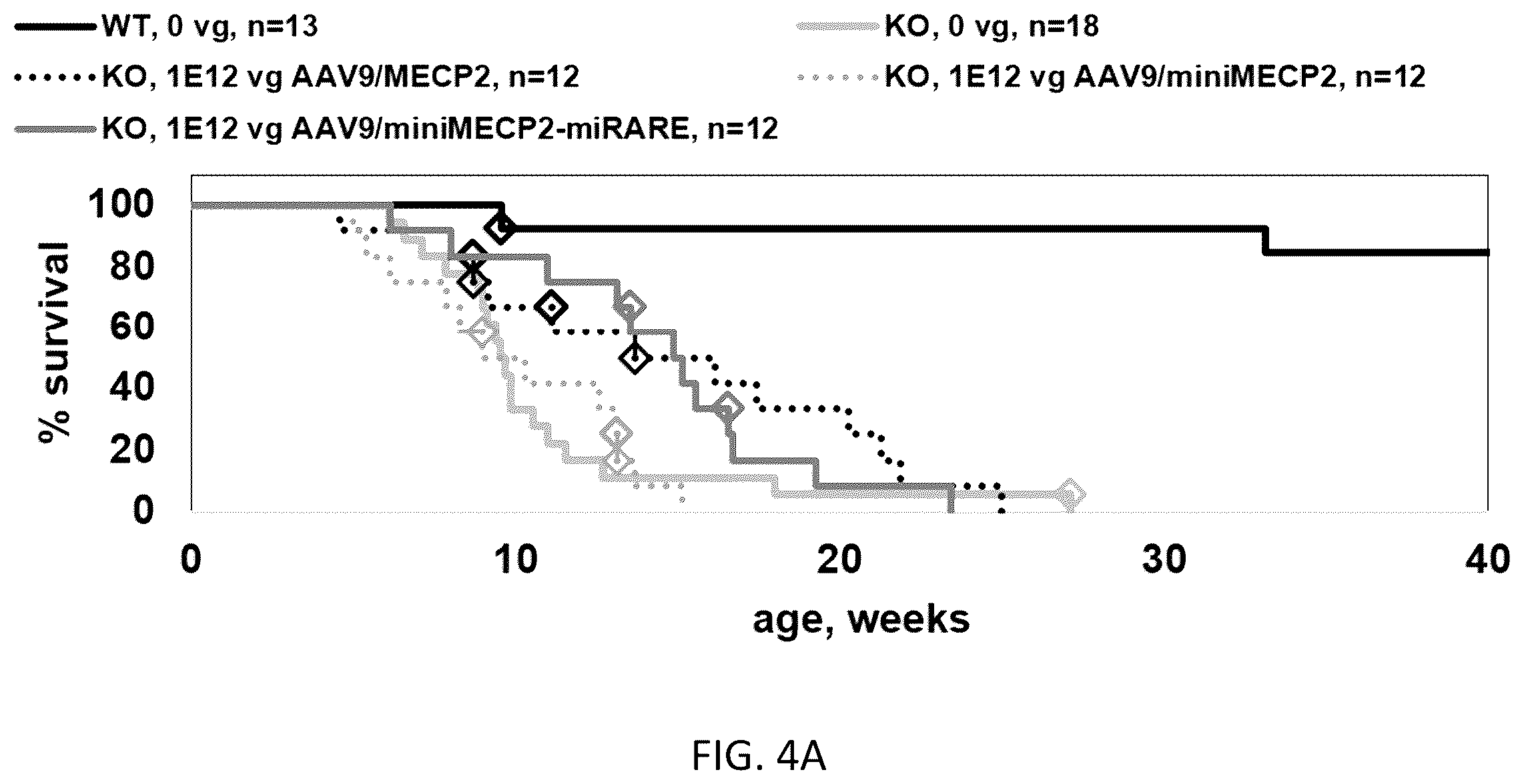 Patent US12359219 Figure 12 – Transgene cassettes designed to express a human MECP2 gene