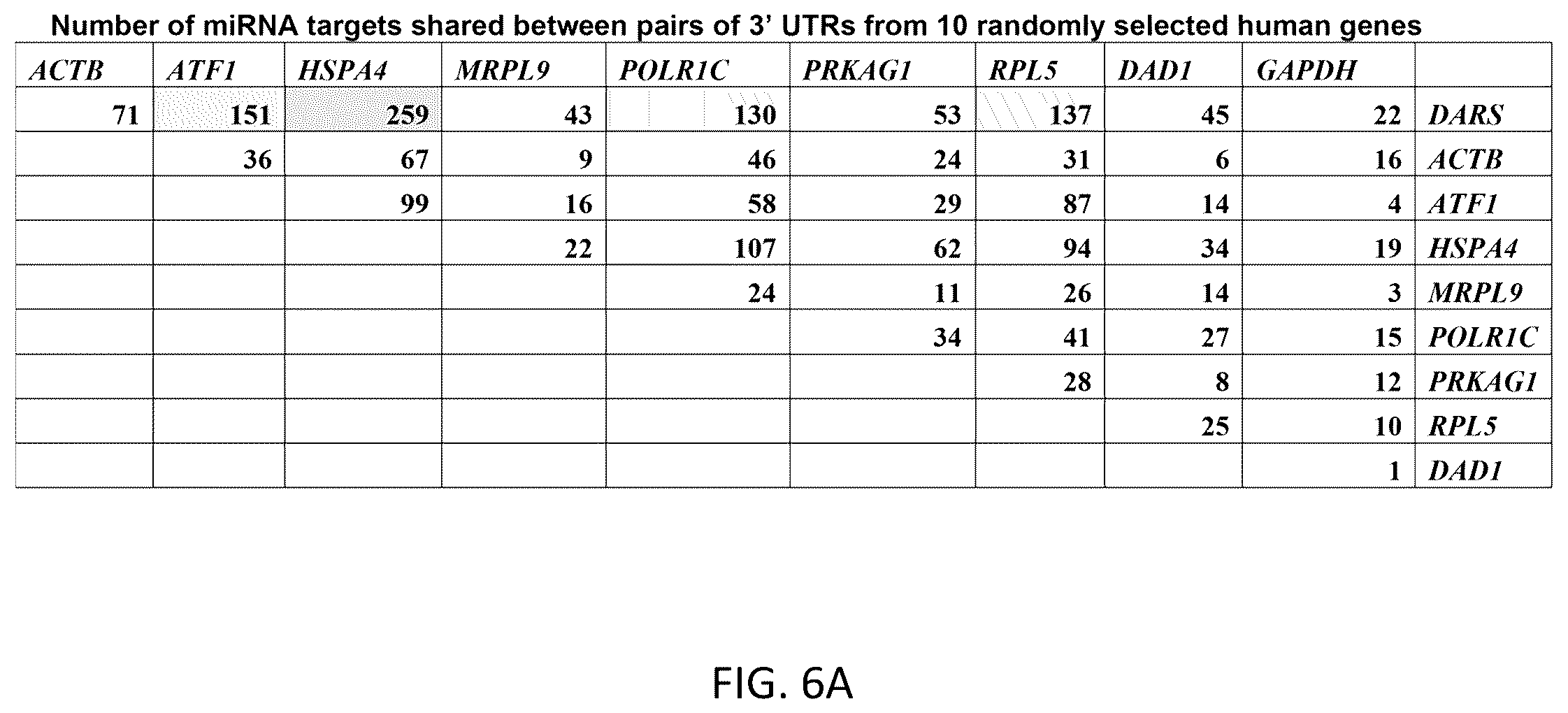 Patent US12359219 Figure 18 – Transgene cassettes designed to express a human MECP2 gene