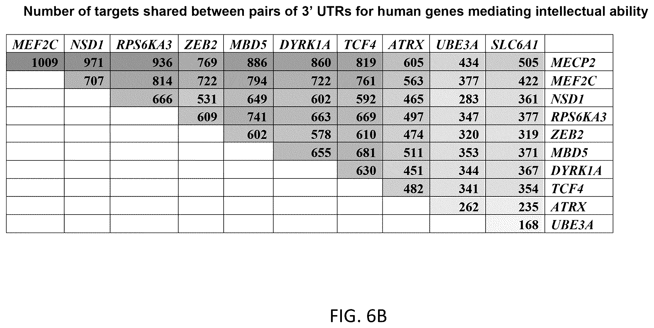 Patent US12359219 Figure 19 – Transgene cassettes designed to express a human MECP2 gene