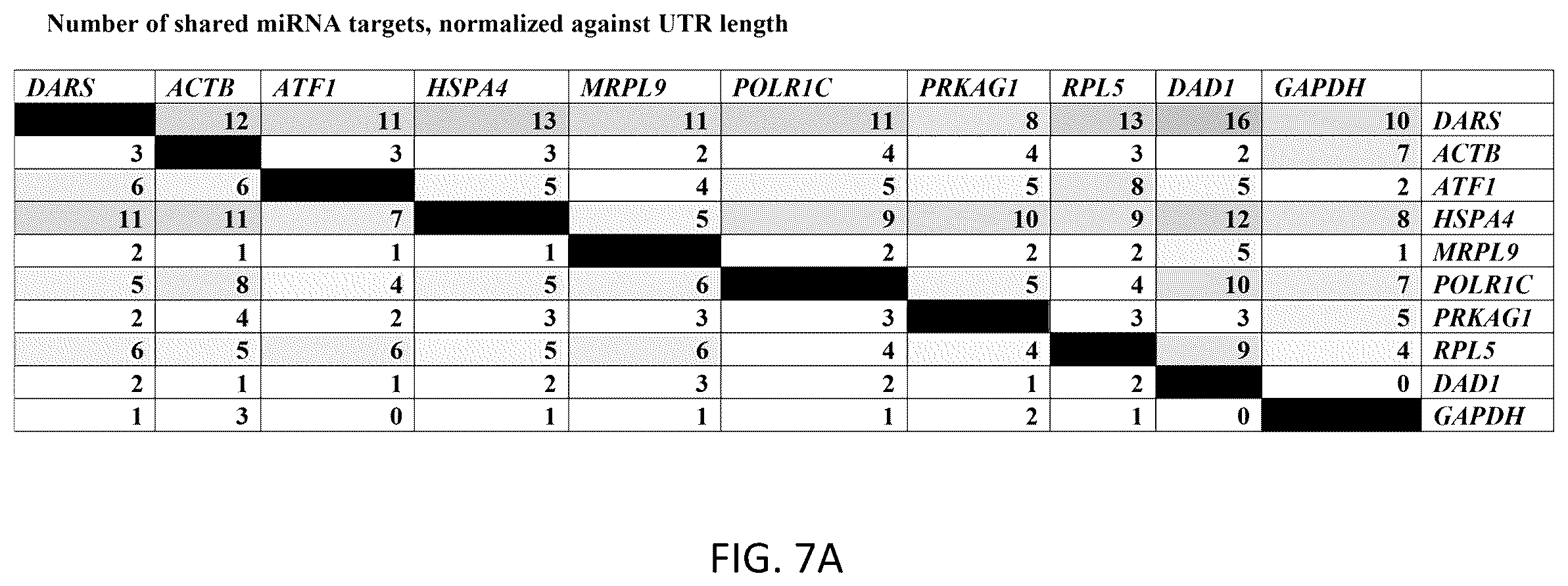 Patent US12359219 Figure 20 – Transgene cassettes designed to express a human MECP2 gene