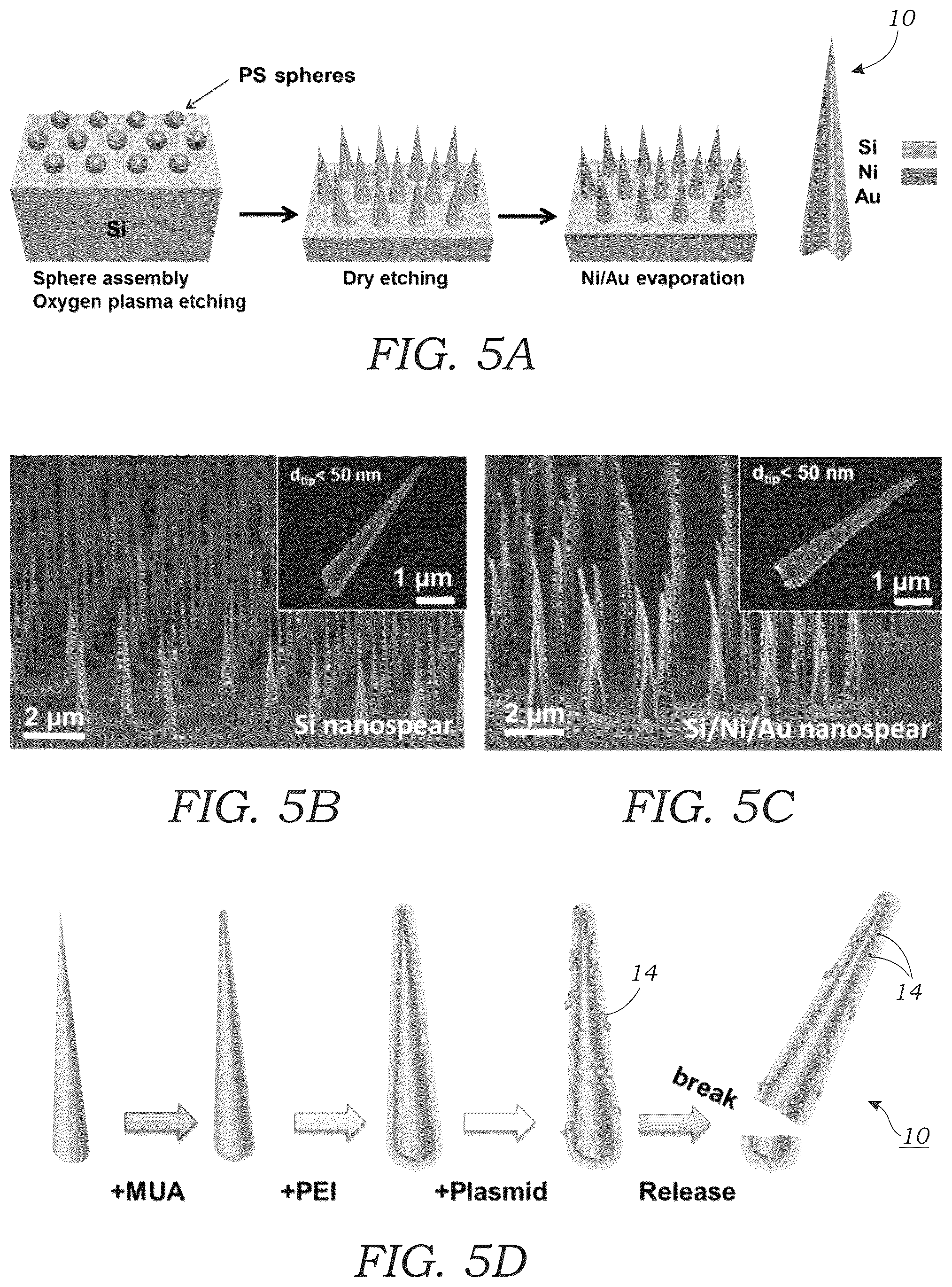 Patent US12359220 Figure 5 – Guided magnetic nanostructures for targeted and high-throughput intracellular delivery