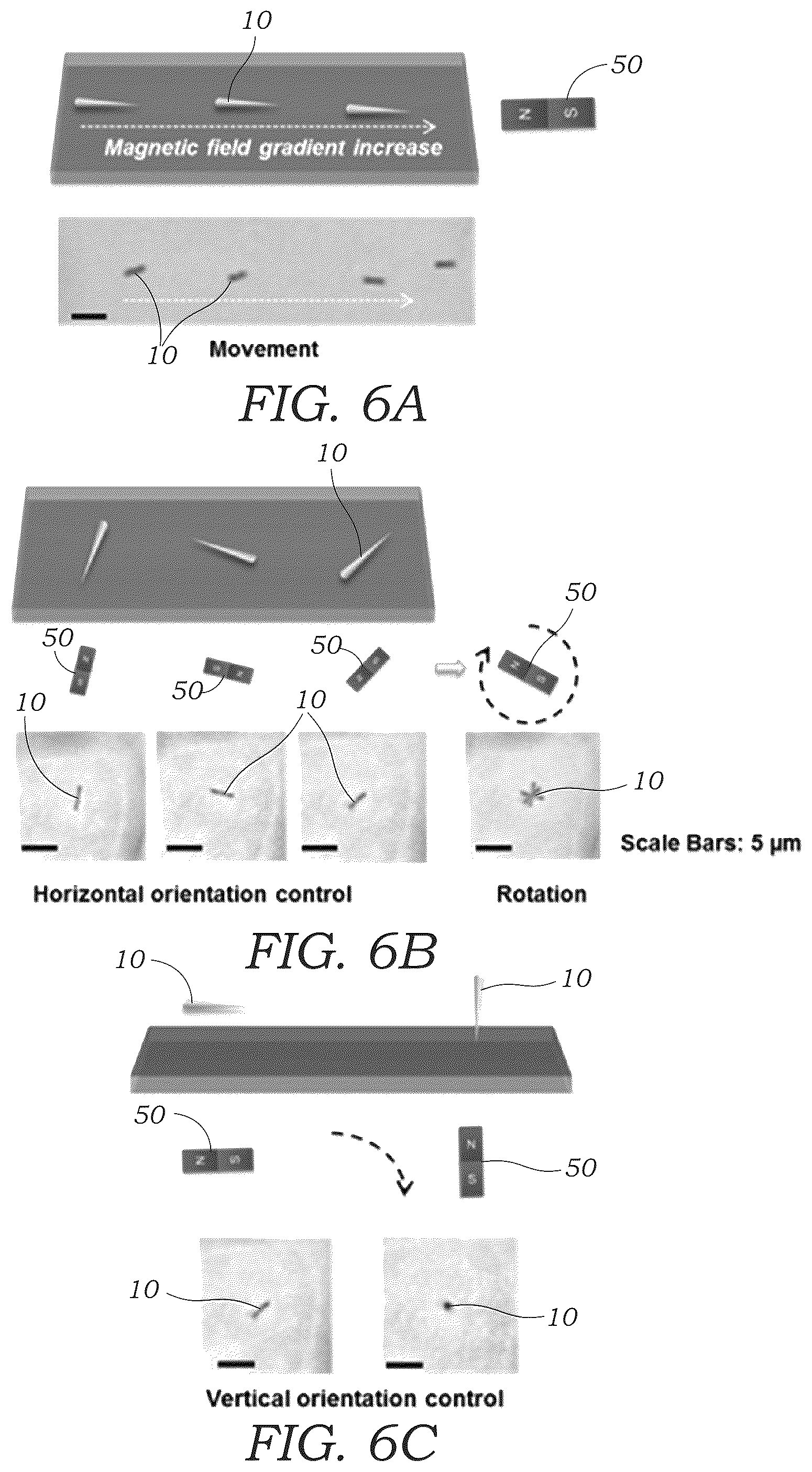Patent US12359220 Figure 6 – Guided magnetic nanostructures for targeted and high-throughput intracellular delivery