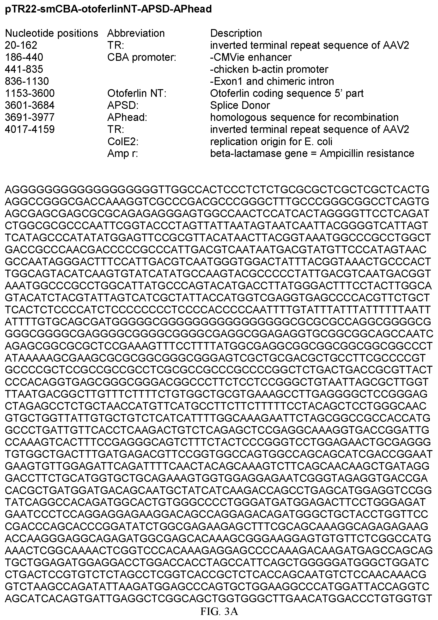 Patent US12359221 Figure 3 – Compositions and methods for expressing otoferlin