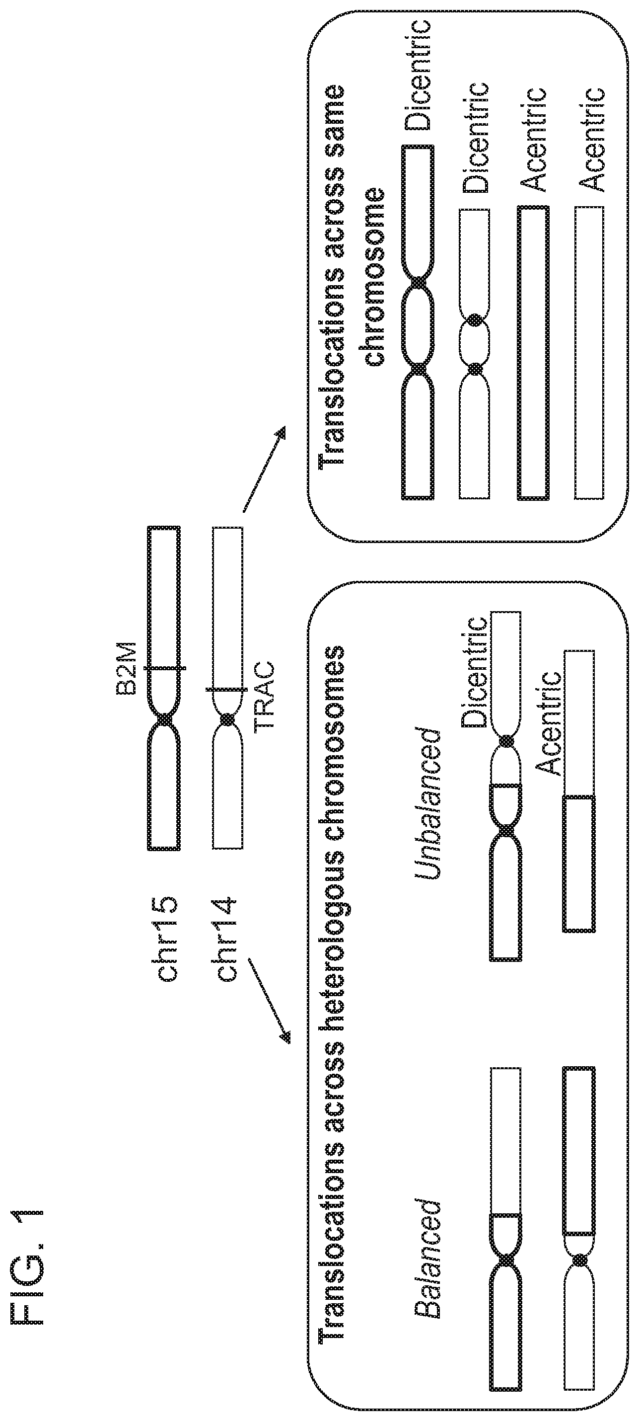 Patent US12359223 Figure 1 – Systems and methods for modulating chromosomal rearrangements