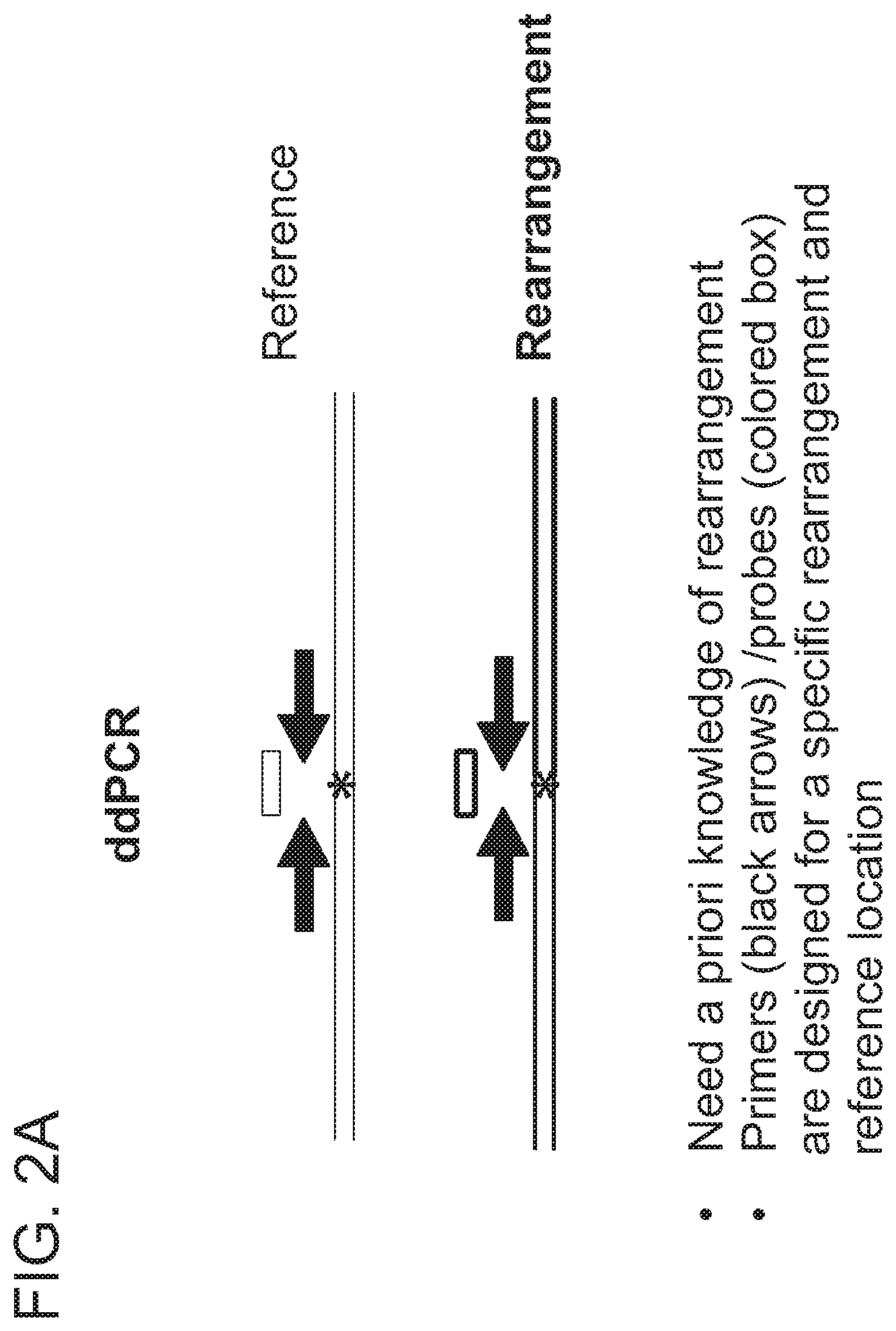 Patent US12359223 Figure 2 – Systems and methods for modulating chromosomal rearrangements