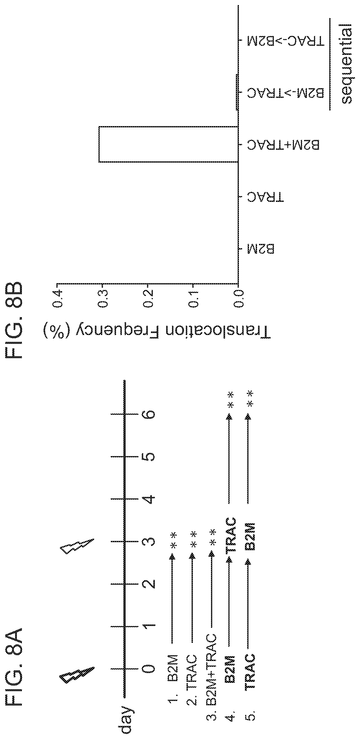 Patent US12359223 Figure 9 – Systems and methods for modulating chromosomal rearrangements