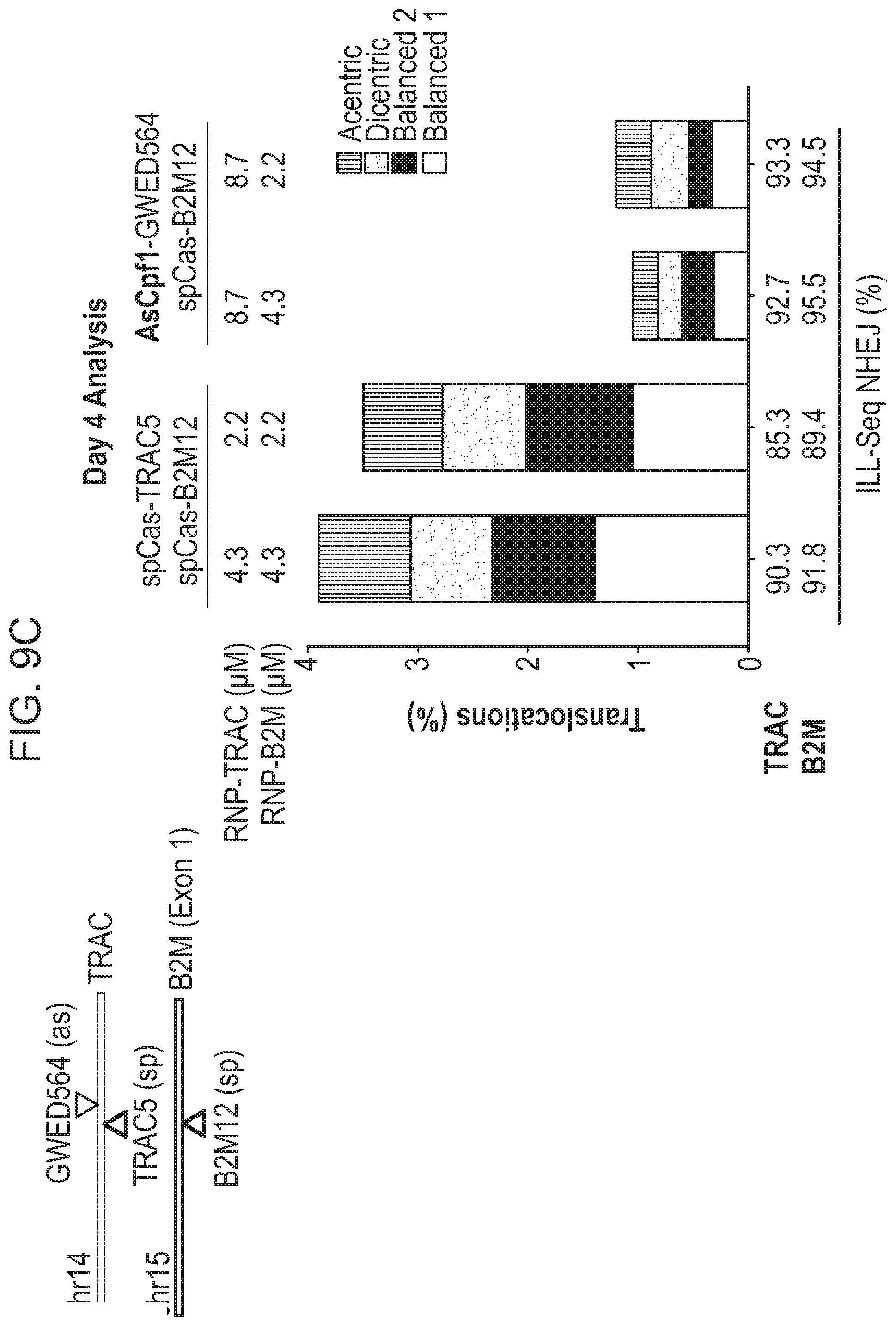 Patent US12359223 Figure 12 – Systems and methods for modulating chromosomal rearrangements