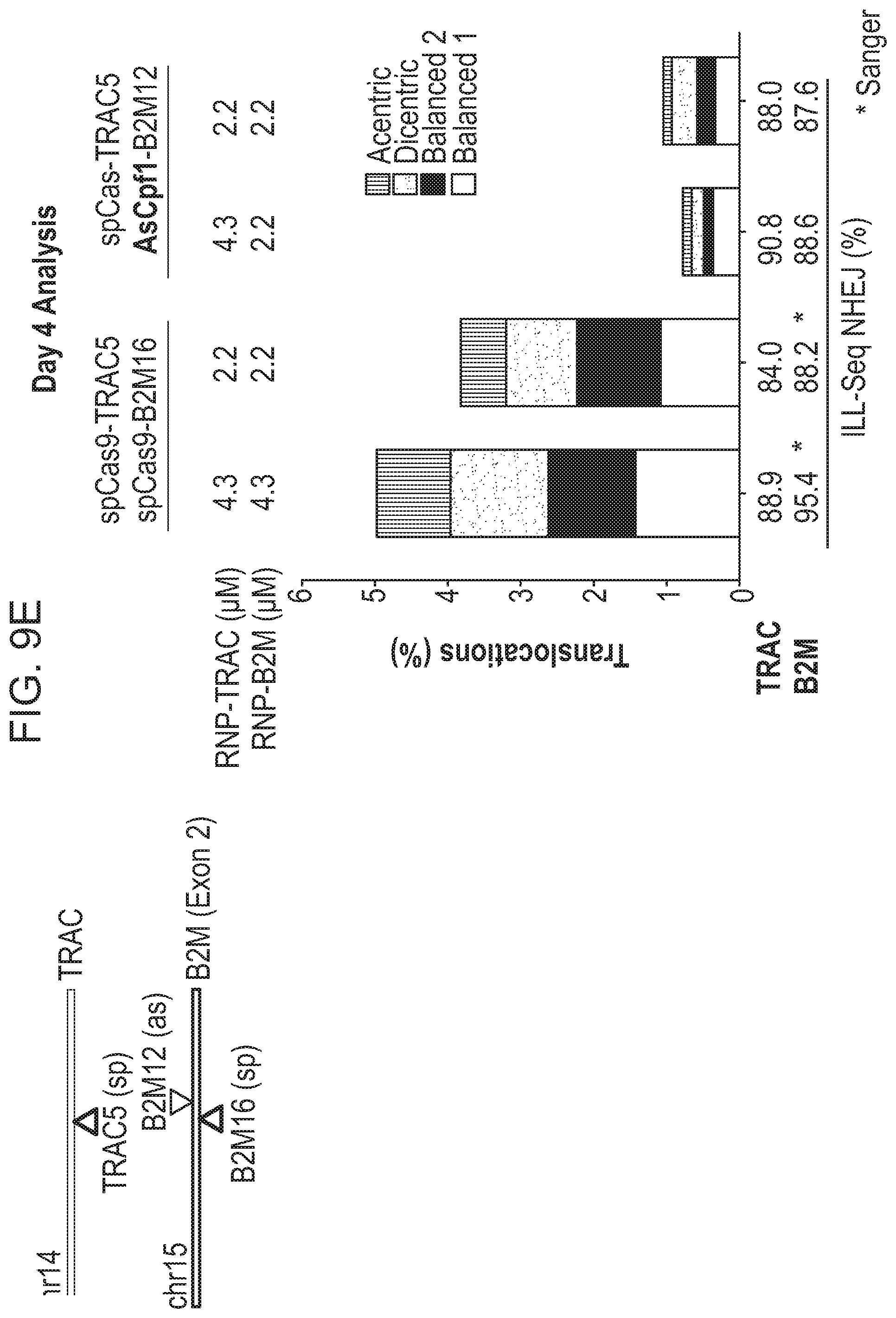 Patent US12359223 Figure 14 – Systems and methods for modulating chromosomal rearrangements