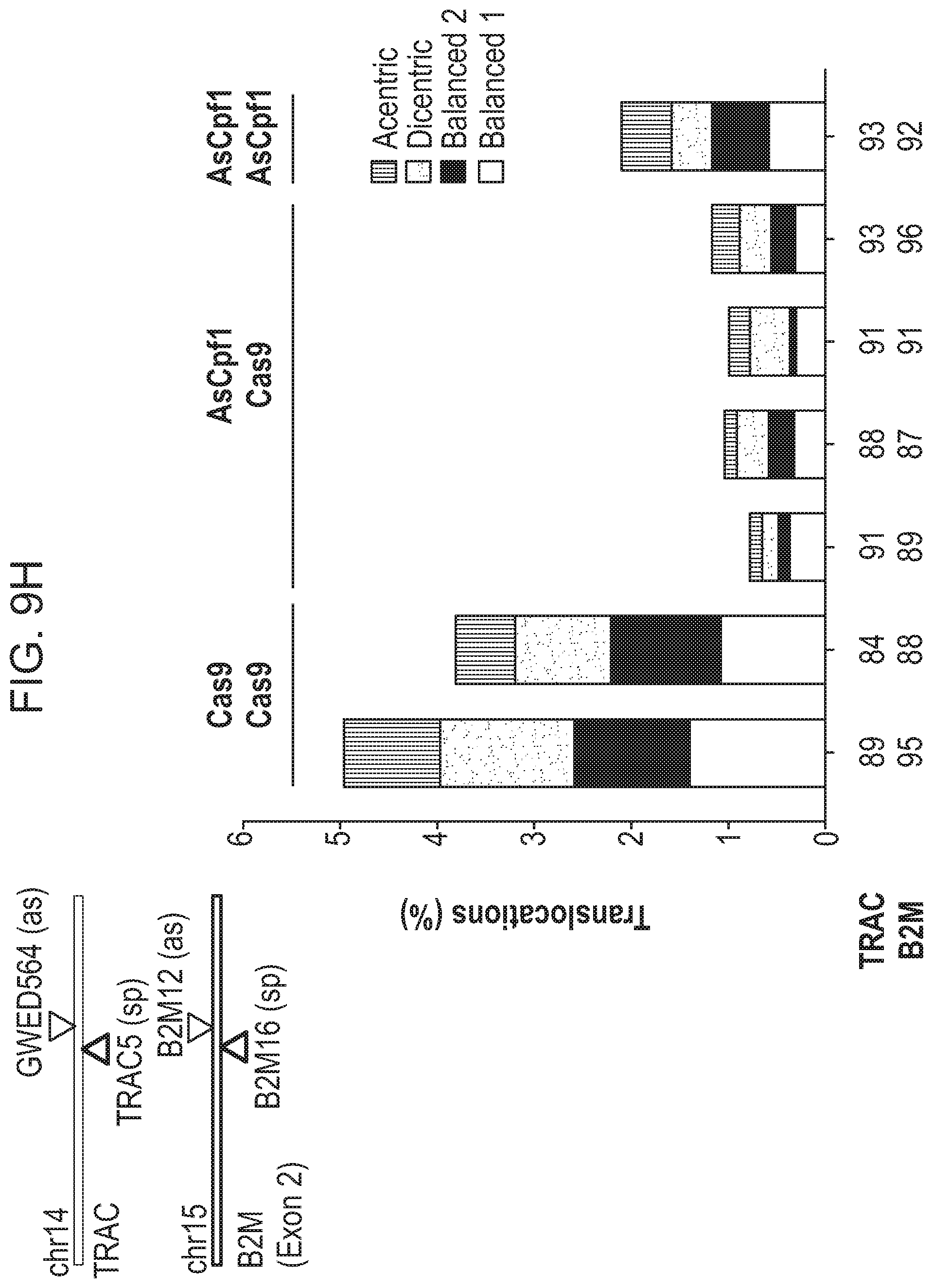 Patent US12359223 Figure 17 – Systems and methods for modulating chromosomal rearrangements