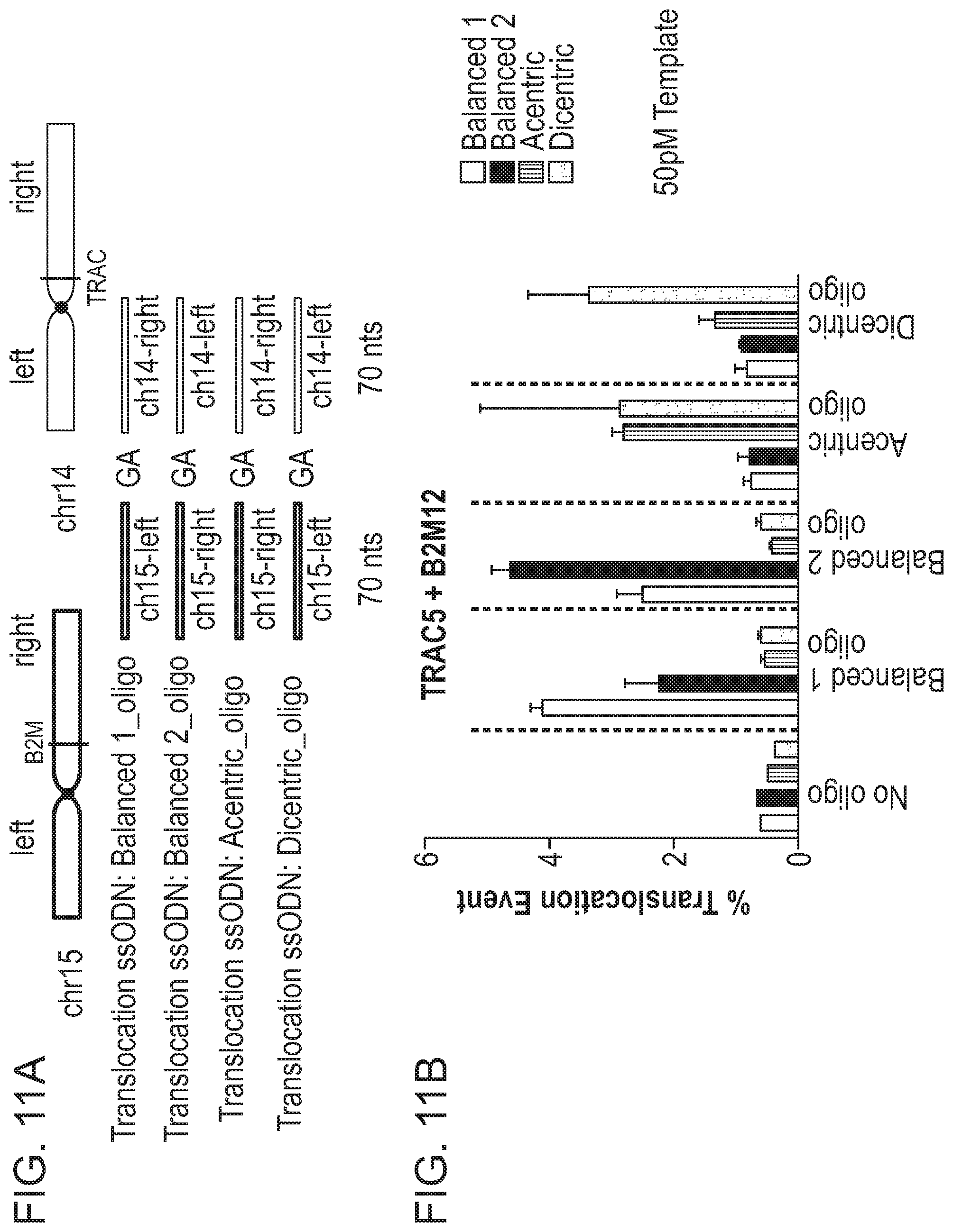 Patent US12359223 Figure 19 – Systems and methods for modulating chromosomal rearrangements