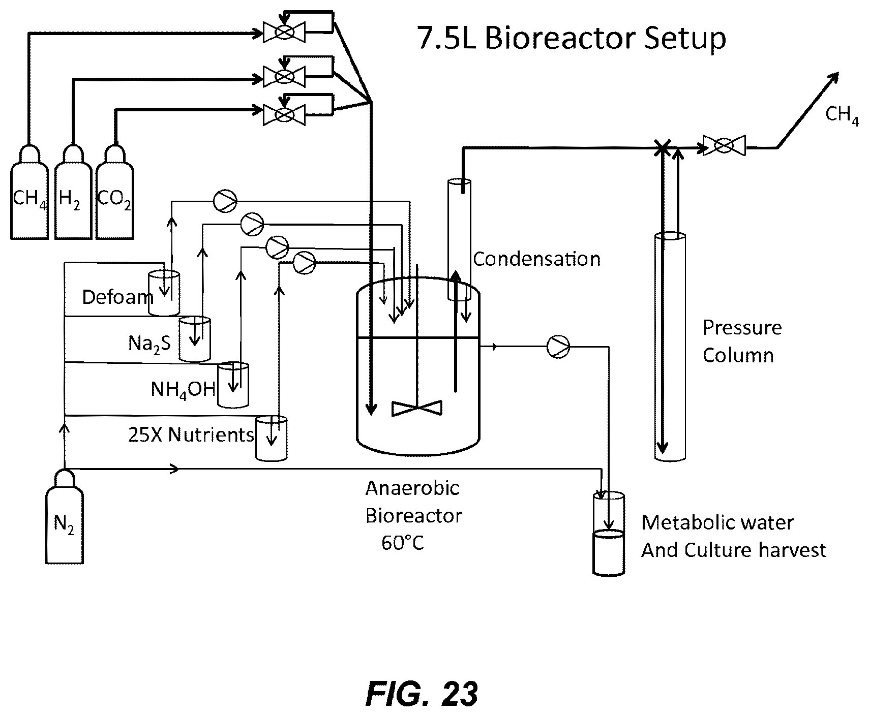 Patent US12359226 Figure 17 – Methanothermobacter thermautotrophicus strain and variants thereof