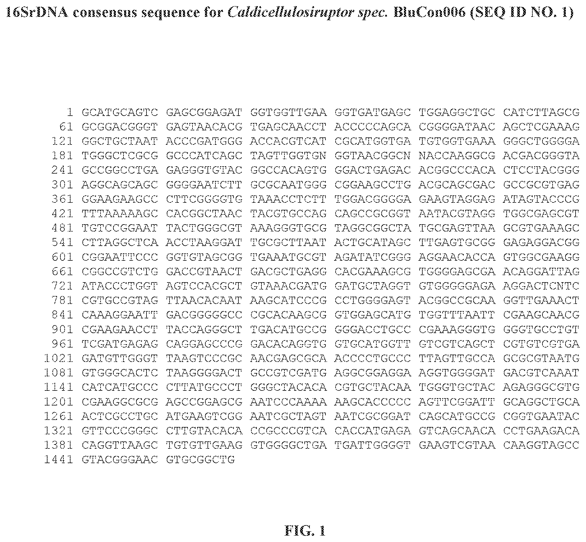 Patent US12359229 Figure 1 – Extreme thermophilic bacteria of the genus Caldicellulosiruptor suitable for the conversion of cellulosic and starchy biomass