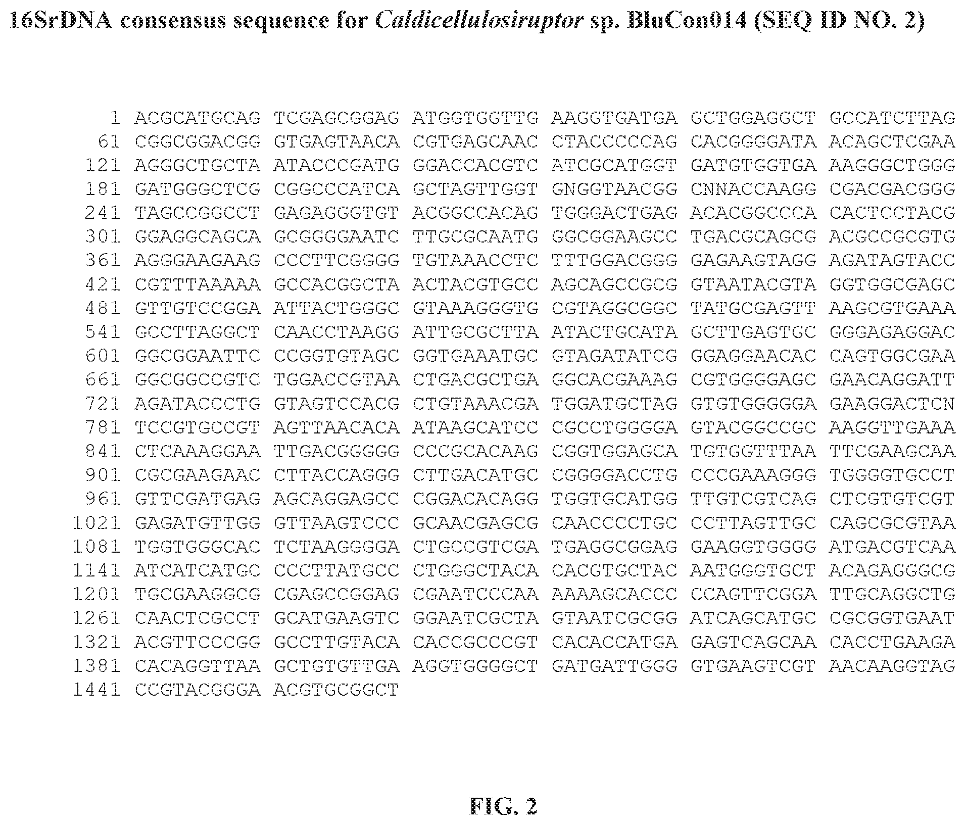 Patent US12359229 Figure 2 – Extreme thermophilic bacteria of the genus Caldicellulosiruptor suitable for the conversion of cellulosic and starchy biomass