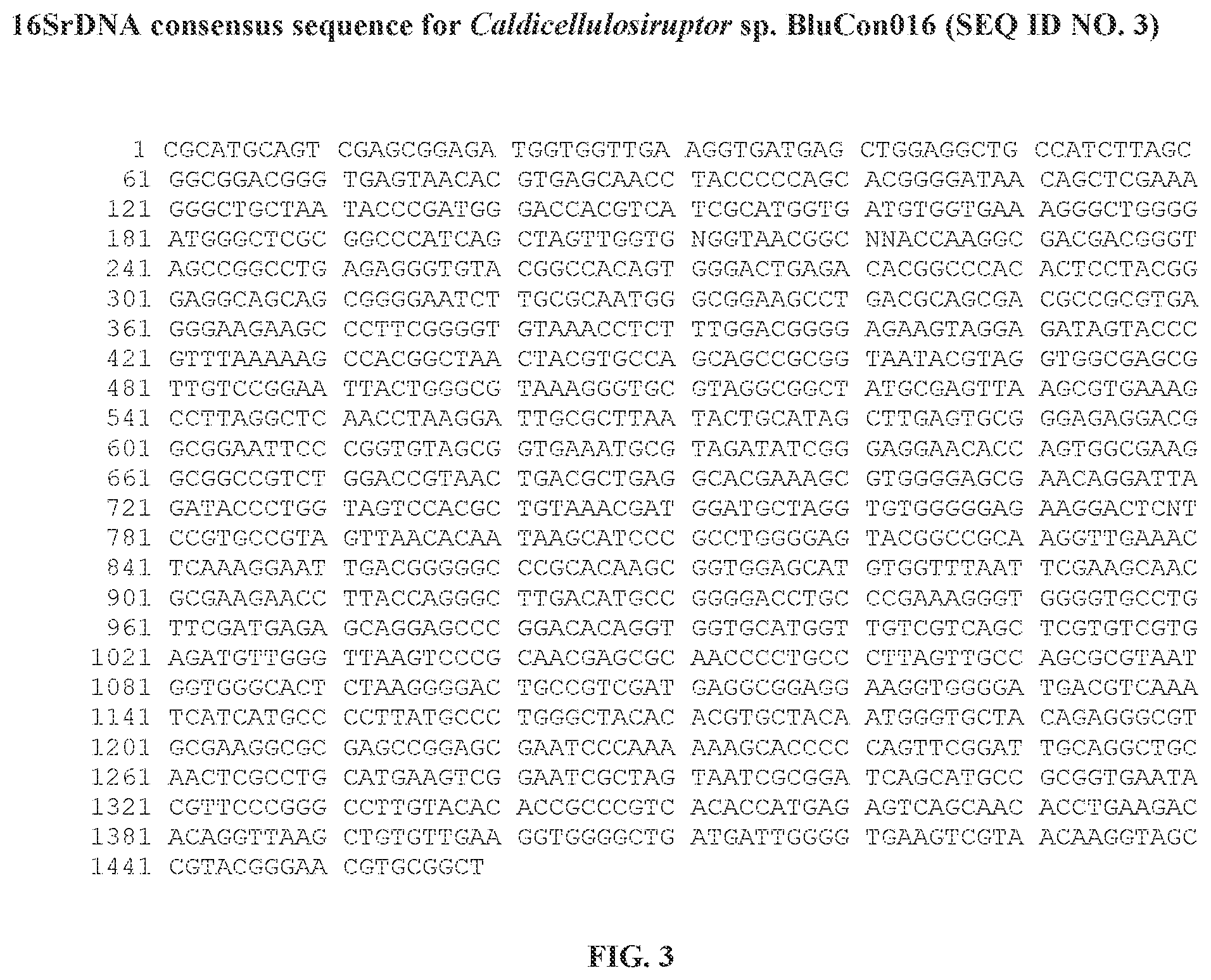 Patent US12359229 Figure 3 – Extreme thermophilic bacteria of the genus Caldicellulosiruptor suitable for the conversion of cellulosic and starchy biomass