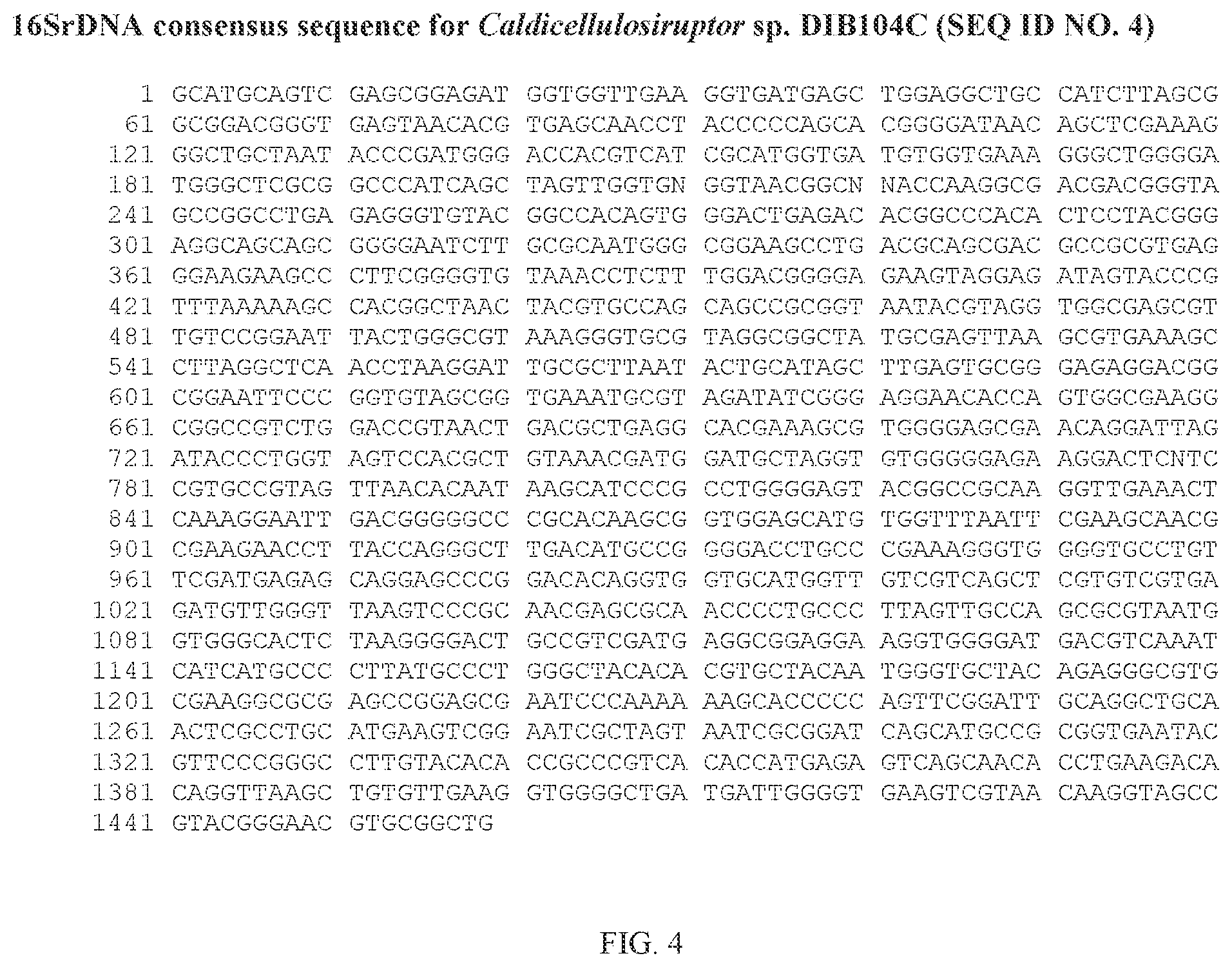 Patent US12359229 Figure 4 – Extreme thermophilic bacteria of the genus Caldicellulosiruptor suitable for the conversion of cellulosic and starchy biomass