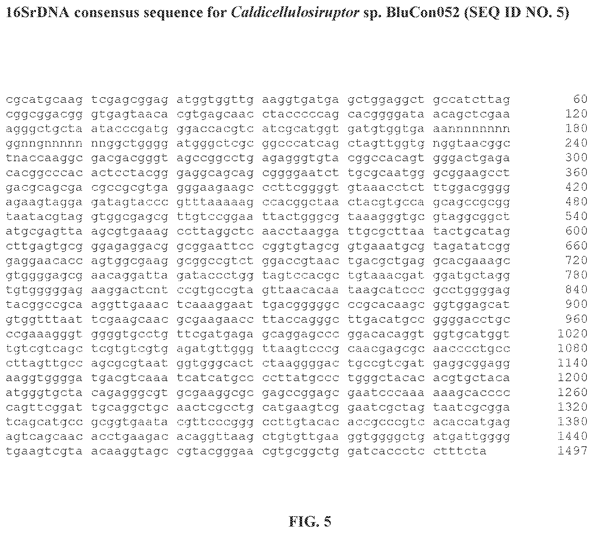 Patent US12359229 Figure 5 – Extreme thermophilic bacteria of the genus Caldicellulosiruptor suitable for the conversion of cellulosic and starchy biomass