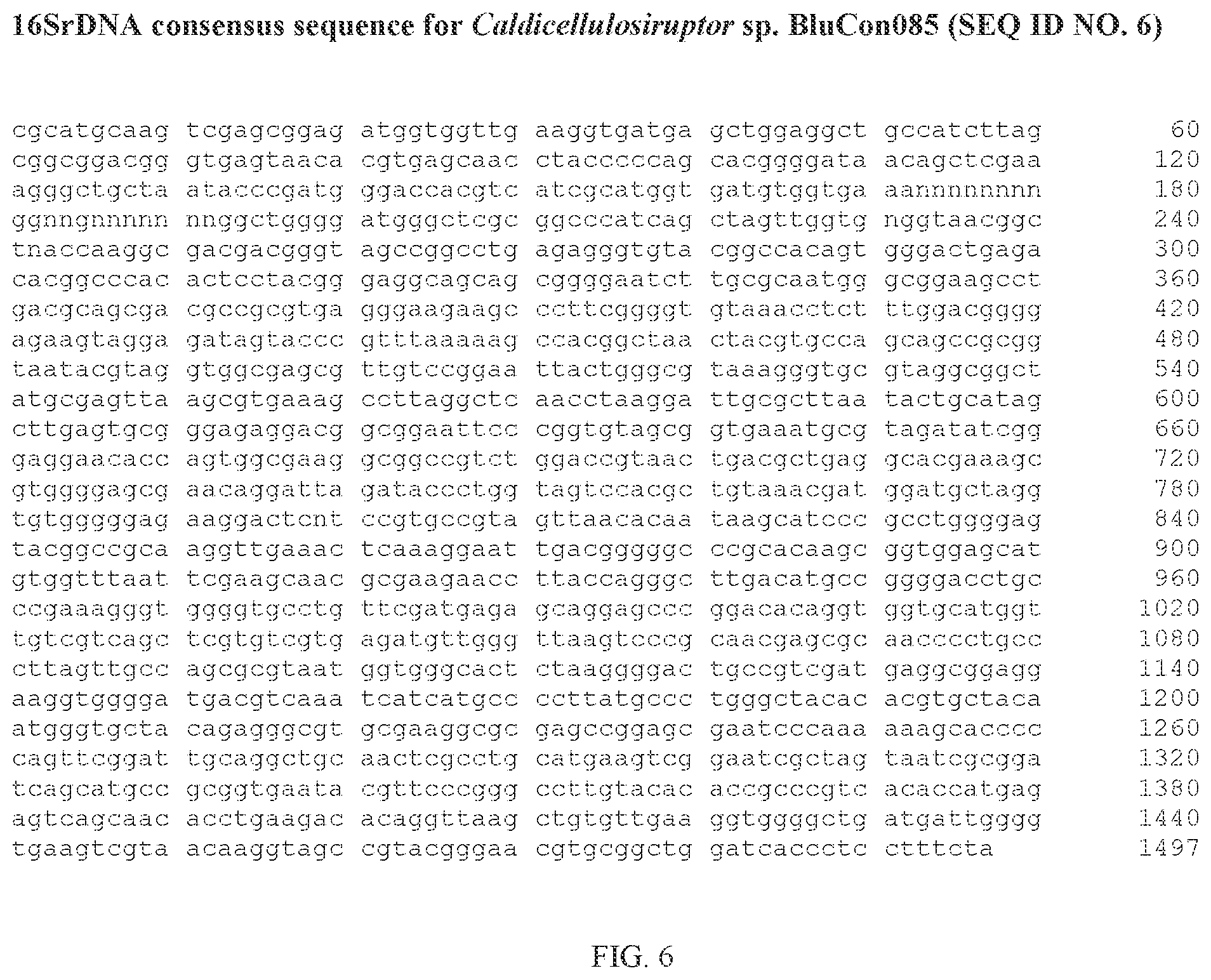 Patent US12359229 Figure 6 – Extreme thermophilic bacteria of the genus Caldicellulosiruptor suitable for the conversion of cellulosic and starchy biomass