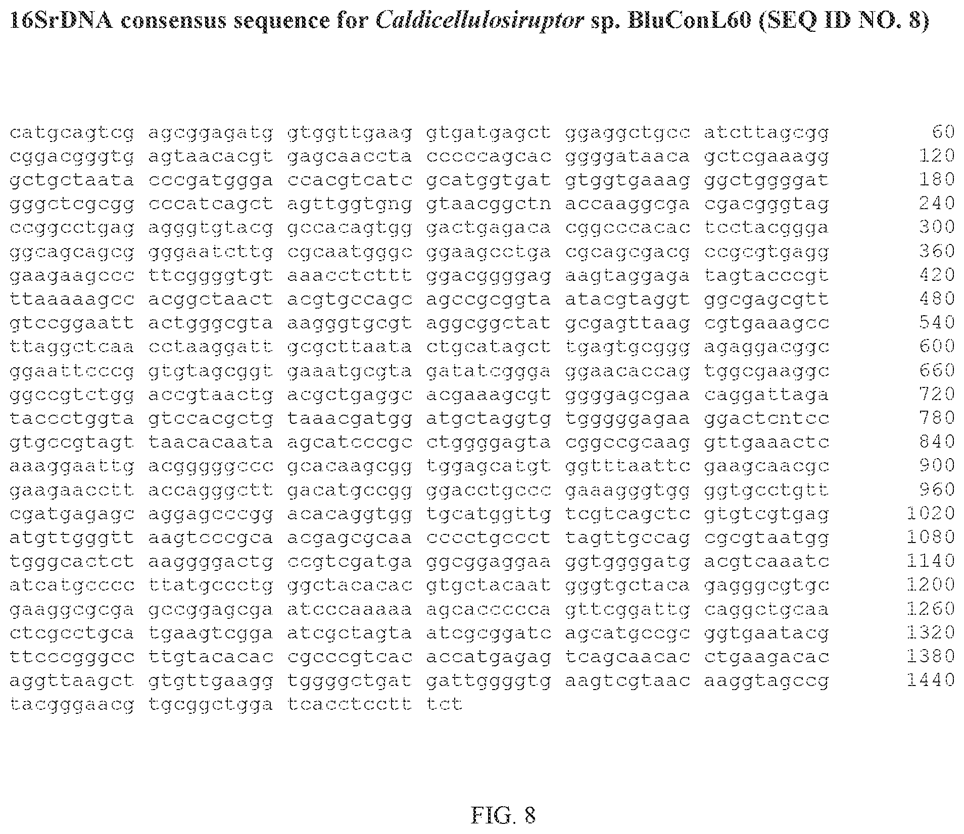 Patent US12359229 Figure 8 – Extreme thermophilic bacteria of the genus Caldicellulosiruptor suitable for the conversion of cellulosic and starchy biomass