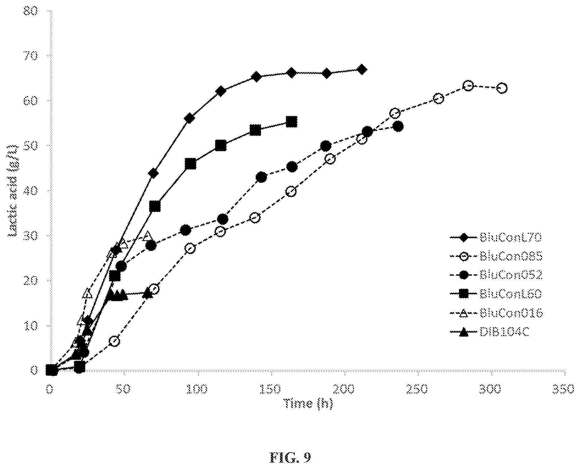 Patent US12359229 Figure 9 – Extreme thermophilic bacteria of the genus Caldicellulosiruptor suitable for the conversion of cellulosic and starchy biomass