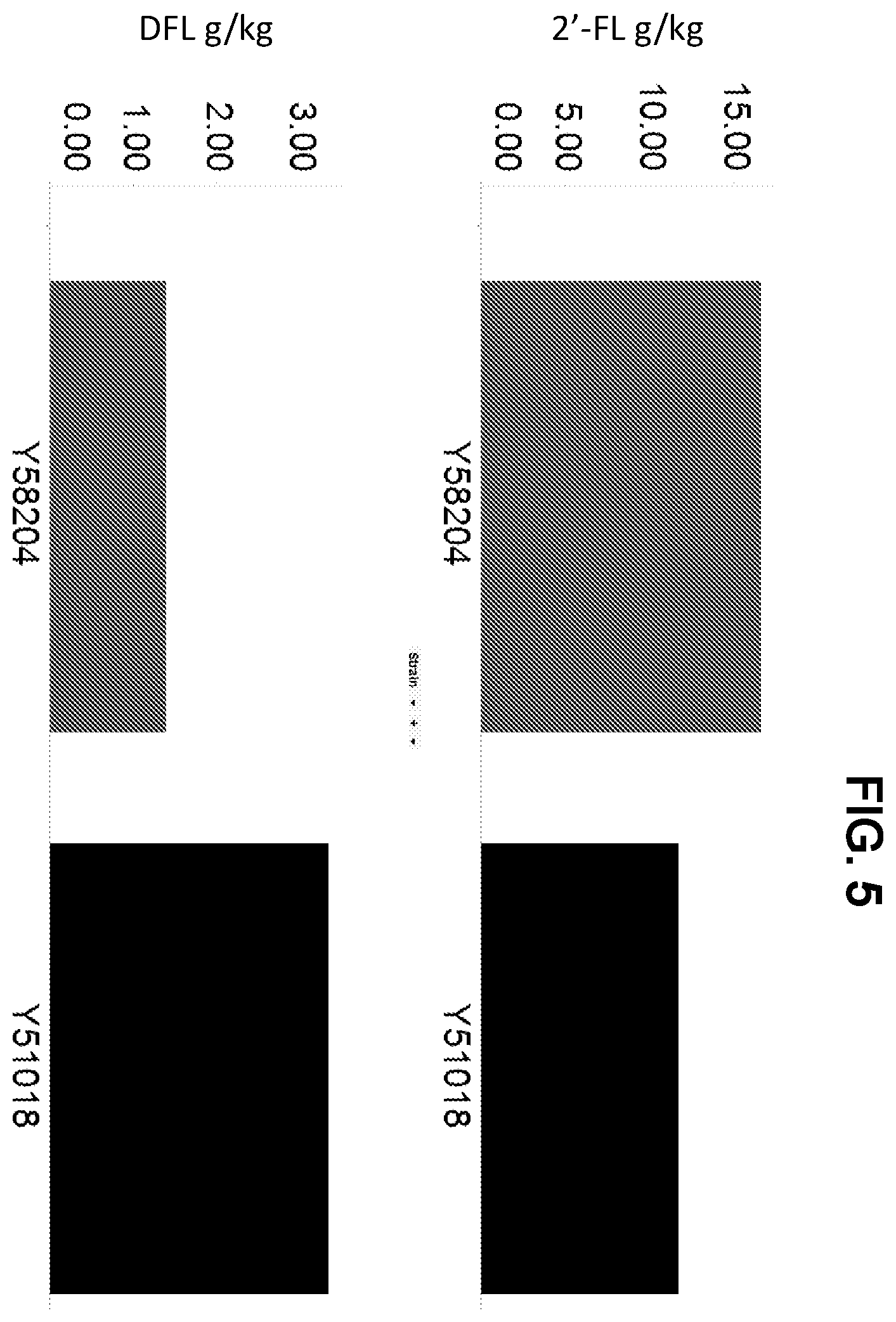 Patent US12359234 Figure 5 – Oligosaccharide production in yeast cells expressing an ABC transporter protein