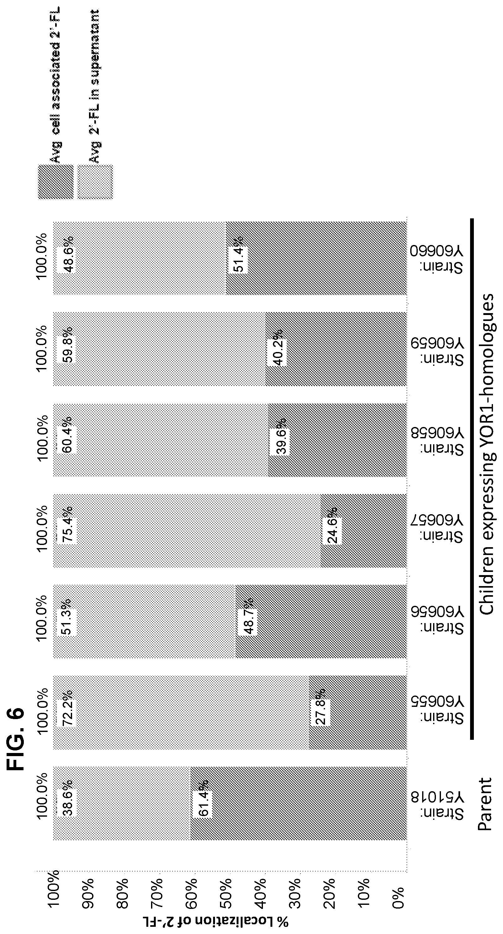 Patent US12359234 Figure 6 – Oligosaccharide production in yeast cells expressing an ABC transporter protein