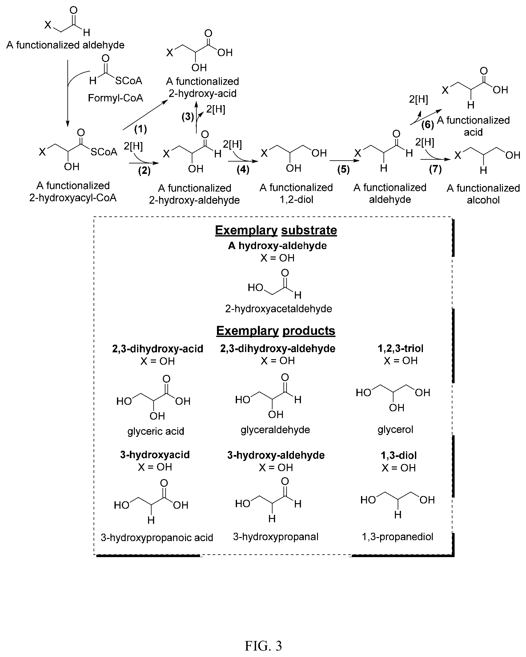 Patent US12359236 Figure 3 – Production of 2-hydroxyacyl-CoAs and derivatives thereof
