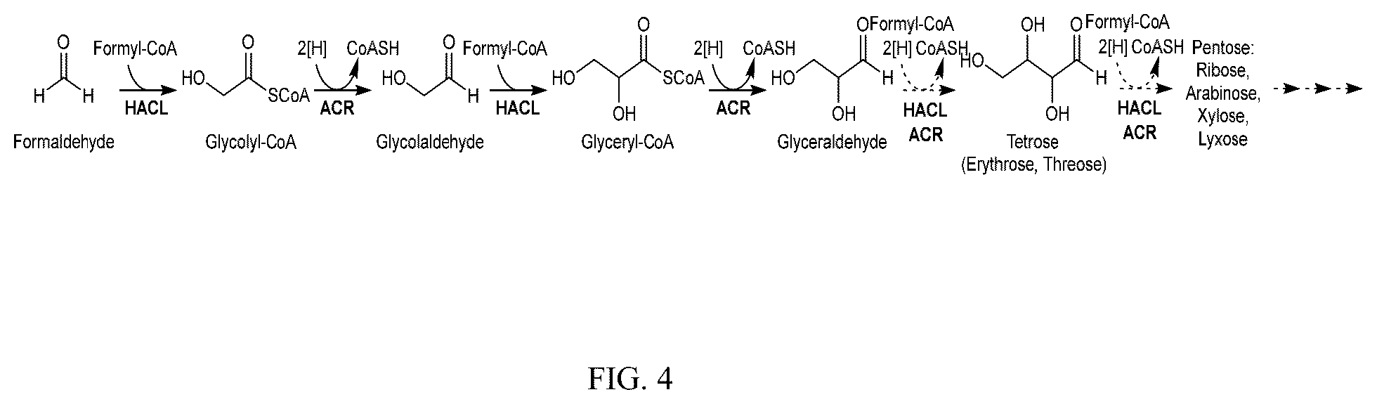 Patent US12359236 Figure 4 – Production of 2-hydroxyacyl-CoAs and derivatives thereof