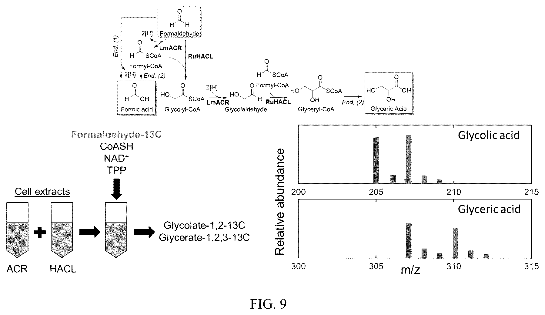 Patent US12359236 Figure 9 – Production of 2-hydroxyacyl-CoAs and derivatives thereof