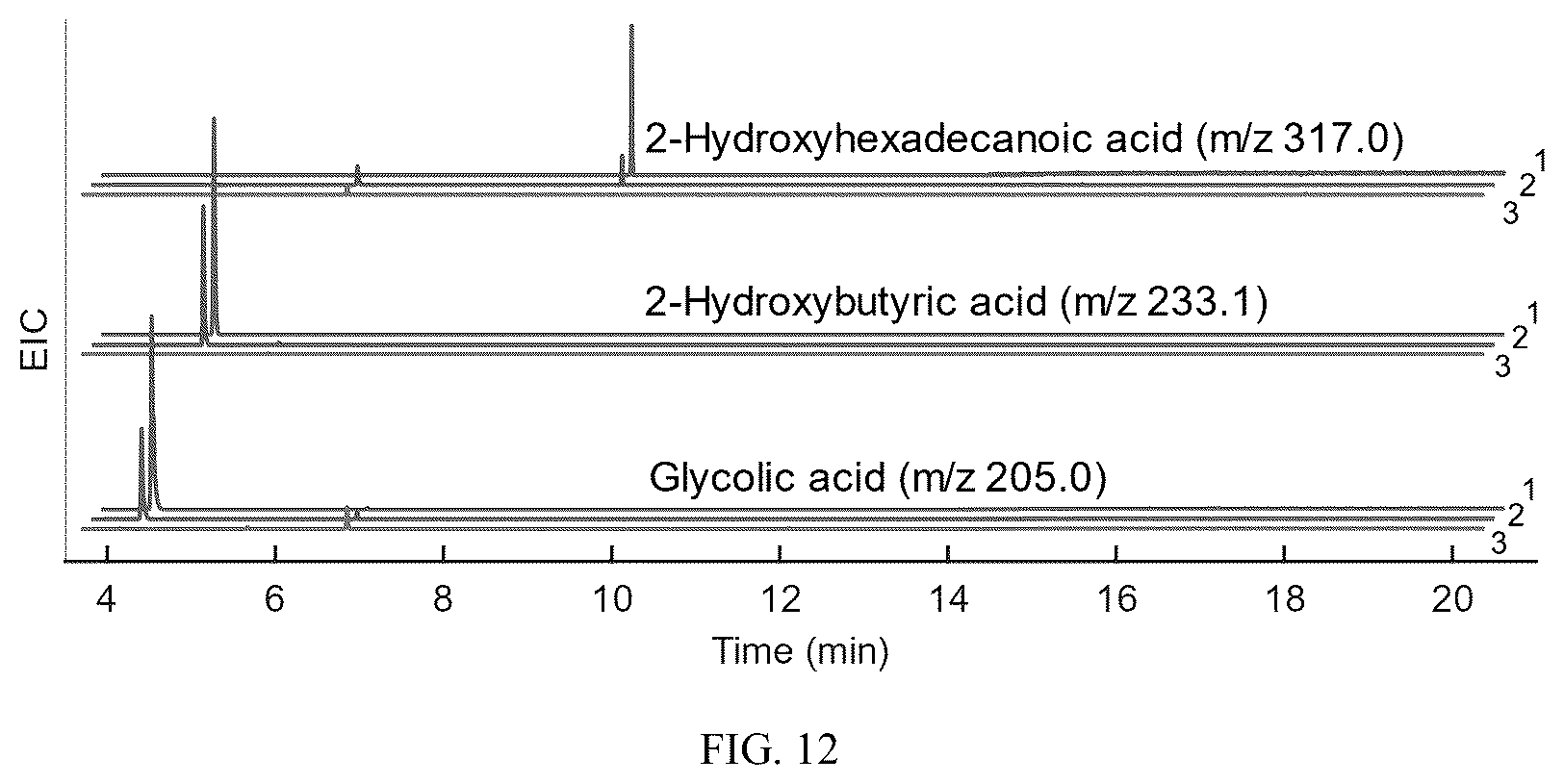 Patent US12359236 Figure 12 – Production of 2-hydroxyacyl-CoAs and derivatives thereof