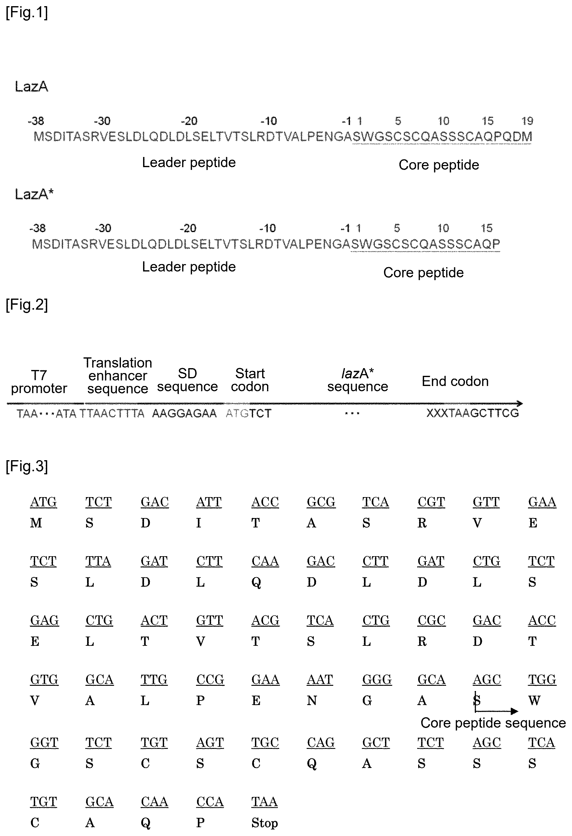 Patent US12359237 Figure 1 – Compound library and method for producing compound library