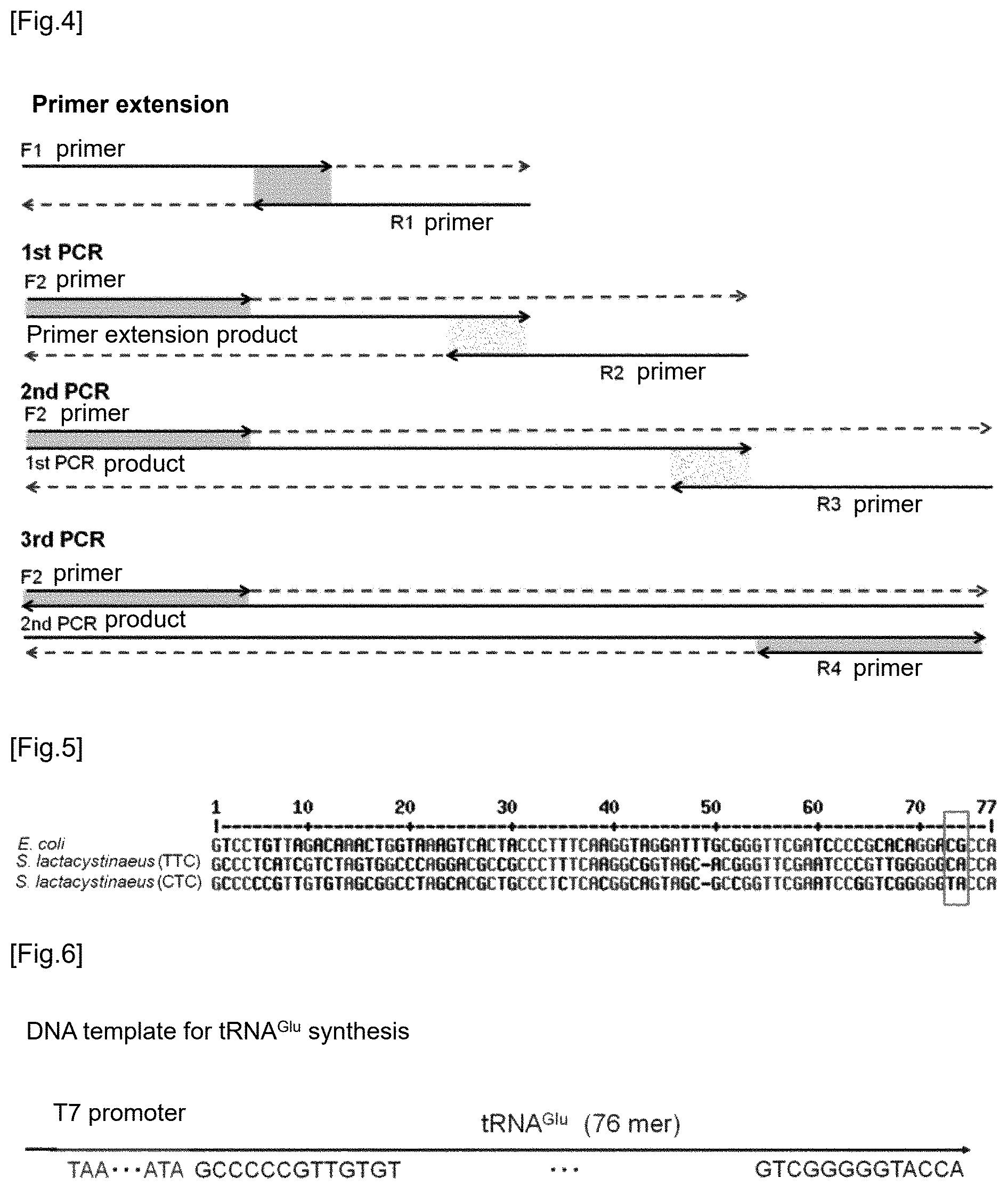Patent US12359237 Figure 2 – Compound library and method for producing compound library