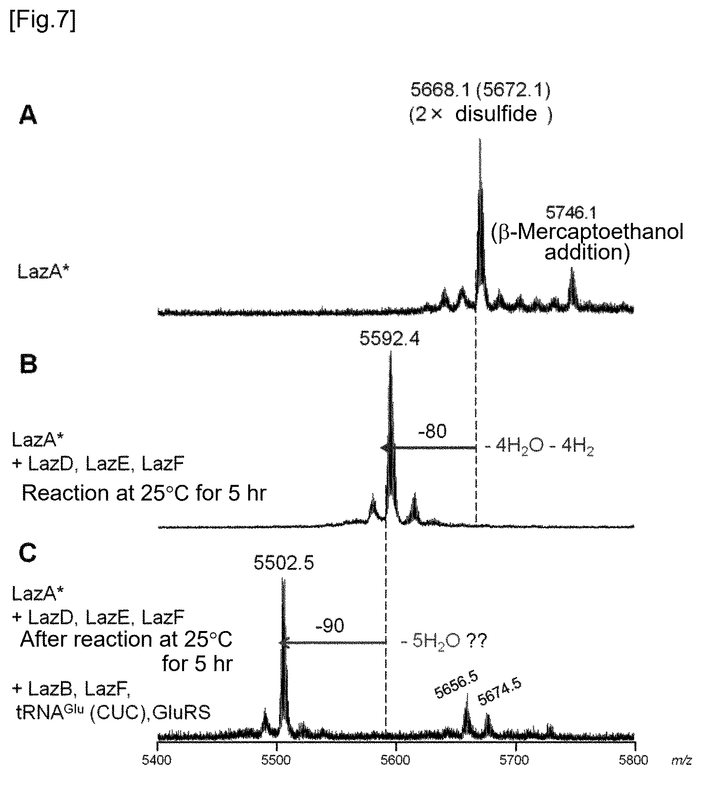Patent US12359237 Figure 3 – Compound library and method for producing compound library