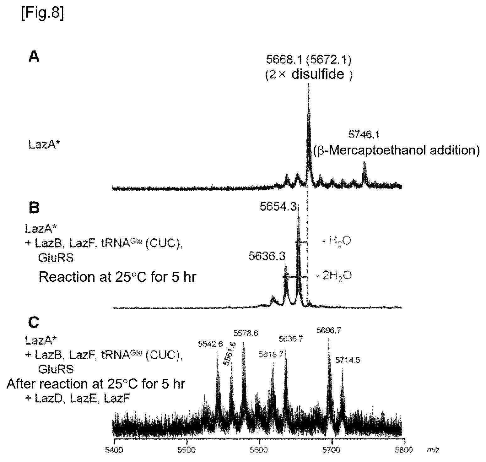 Patent US12359237 Figure 4 – Compound library and method for producing compound library