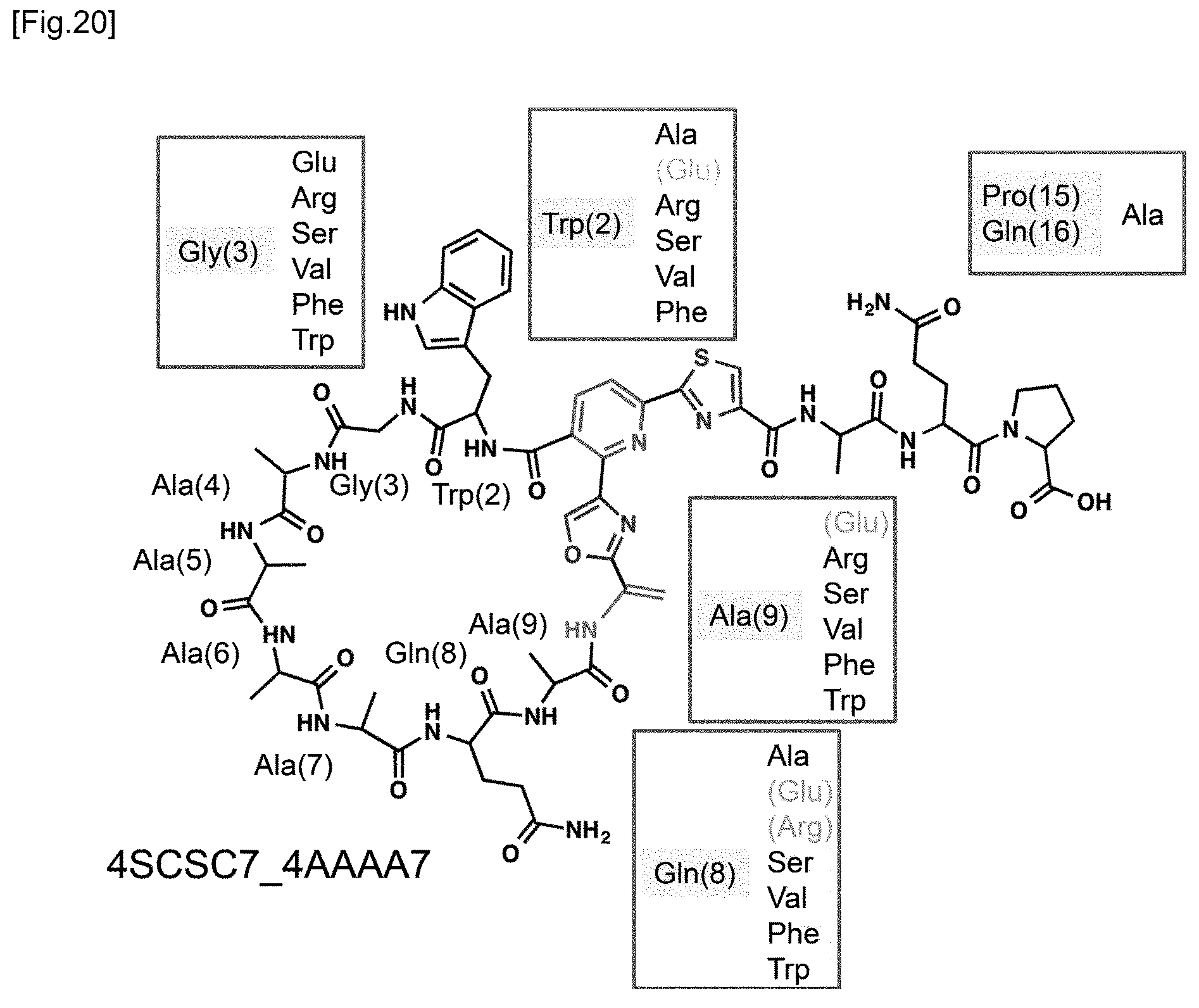 Patent US12359237 Figure 12 – Compound library and method for producing compound library