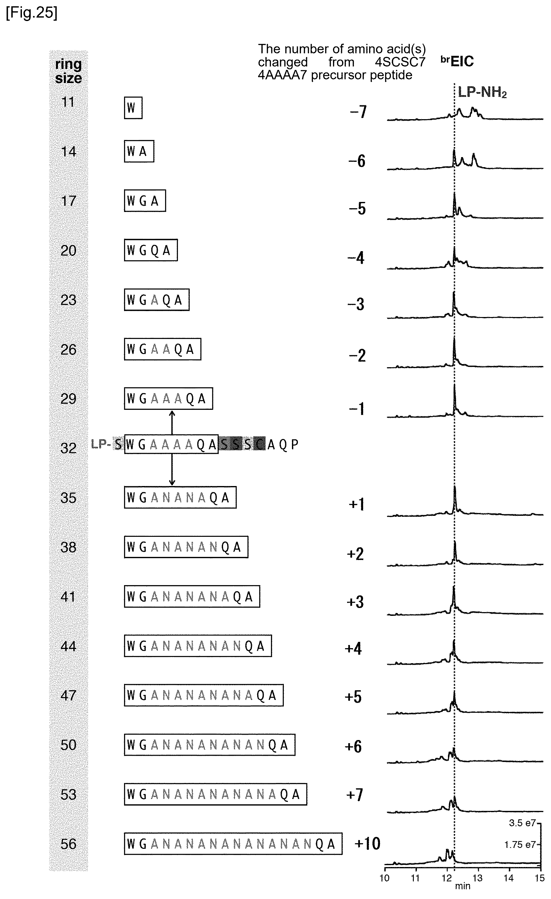 Patent US12359237 Figure 16 – Compound library and method for producing compound library