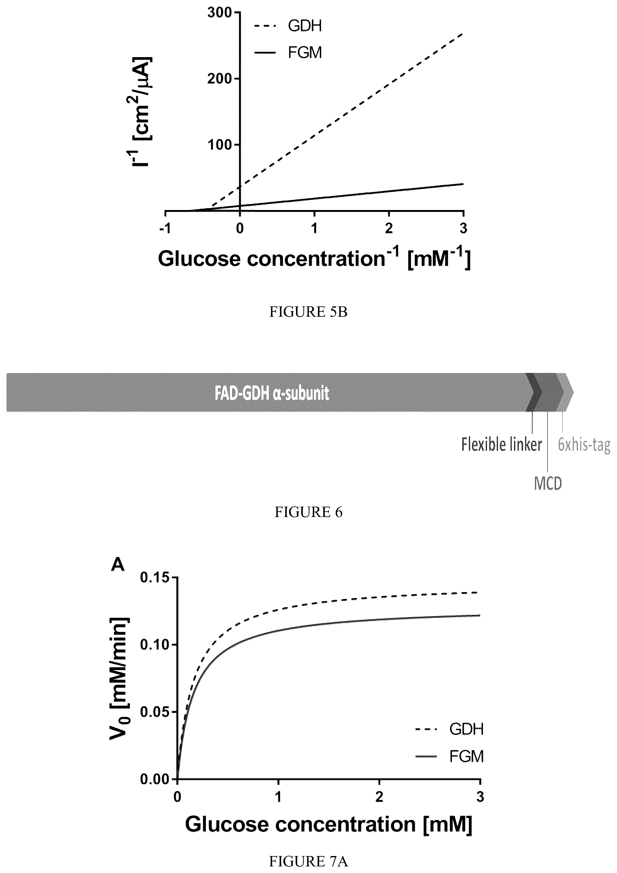 Patent US12359238 Figure 7 – Recombinant flavin-adenine dinucleotide glucose dehydrogenase and uses thereof