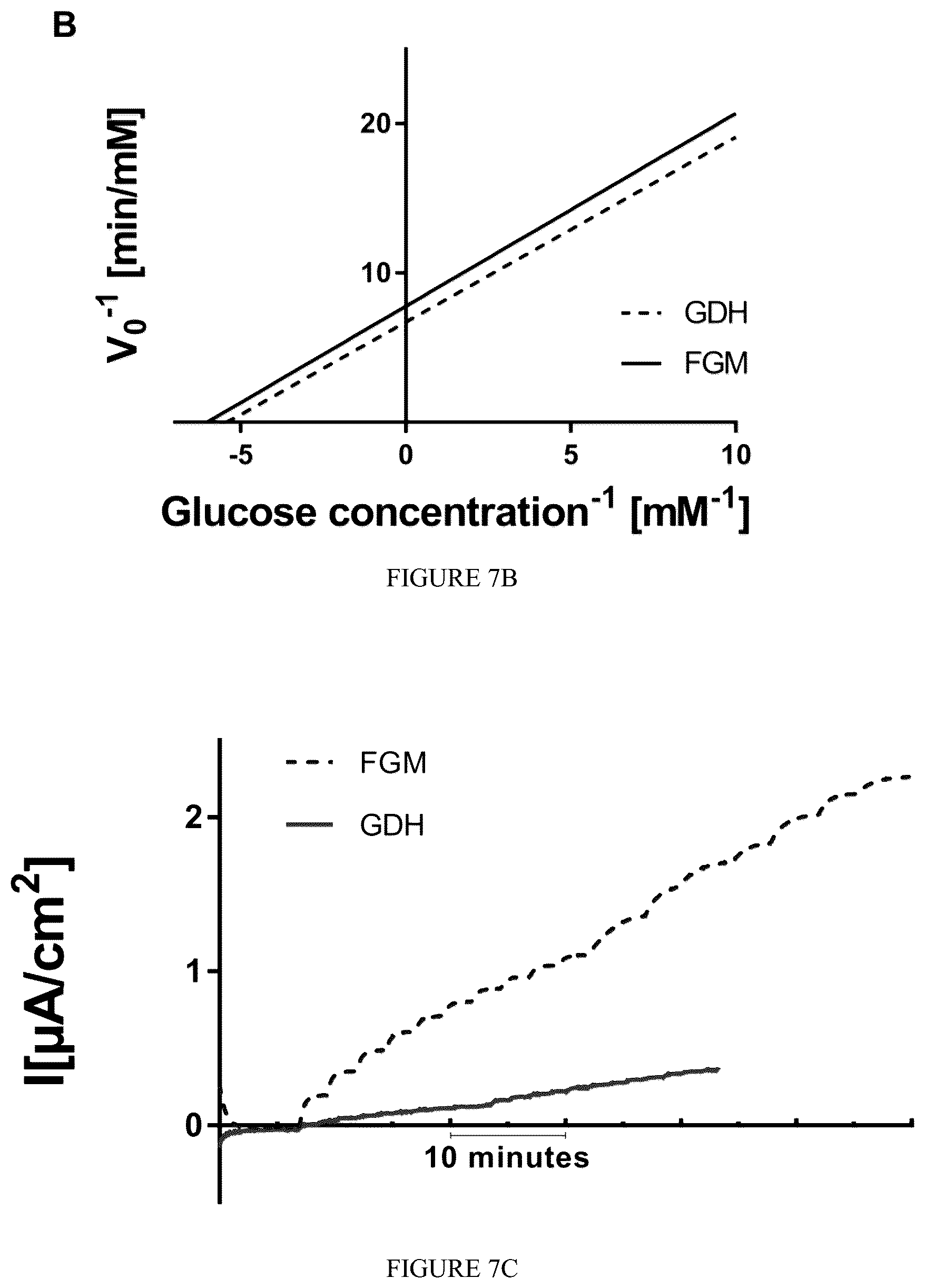 Patent US12359238 Figure 8 – Recombinant flavin-adenine dinucleotide glucose dehydrogenase and uses thereof