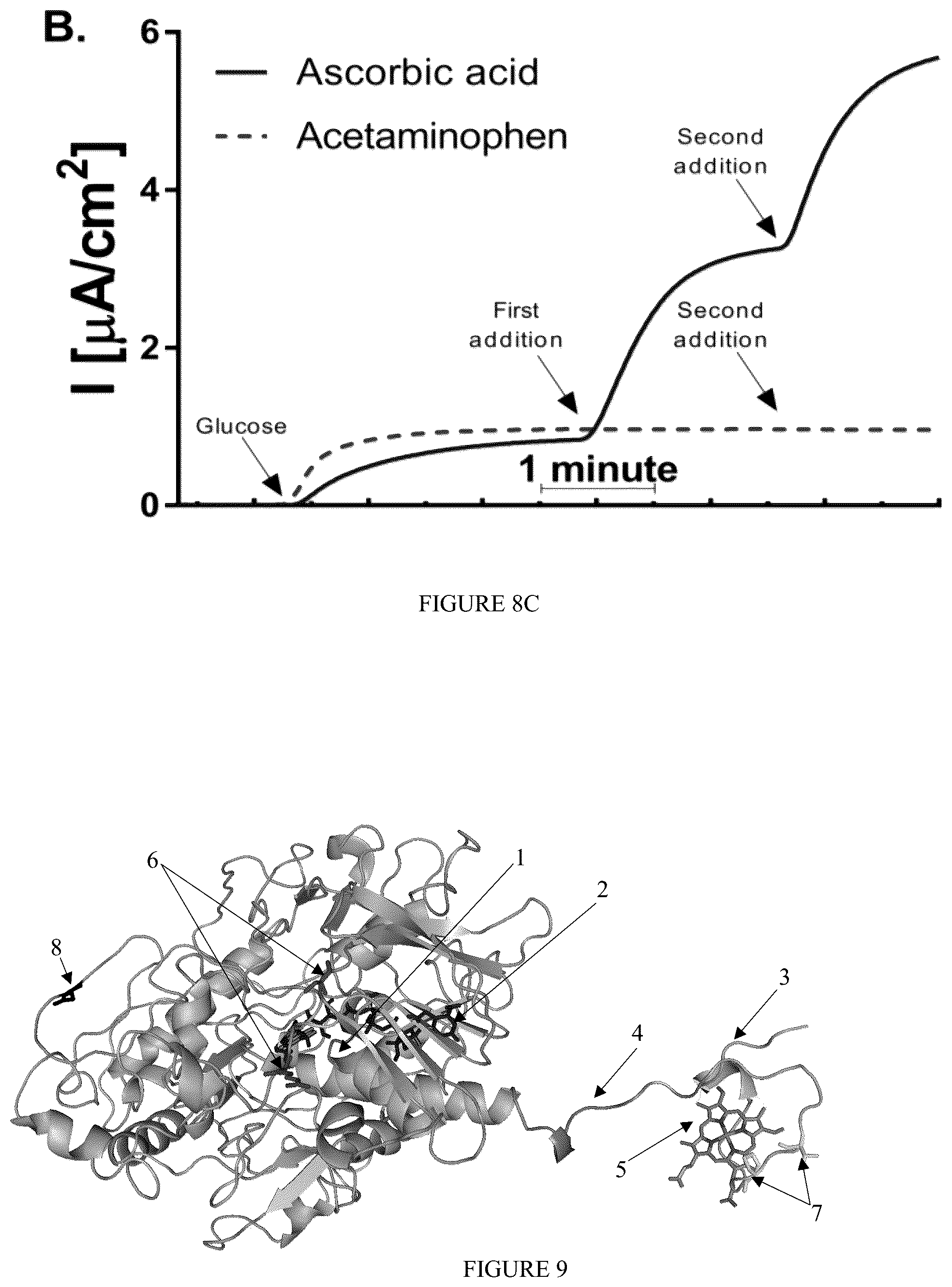Patent US12359238 Figure 10 – Recombinant flavin-adenine dinucleotide glucose dehydrogenase and uses thereof