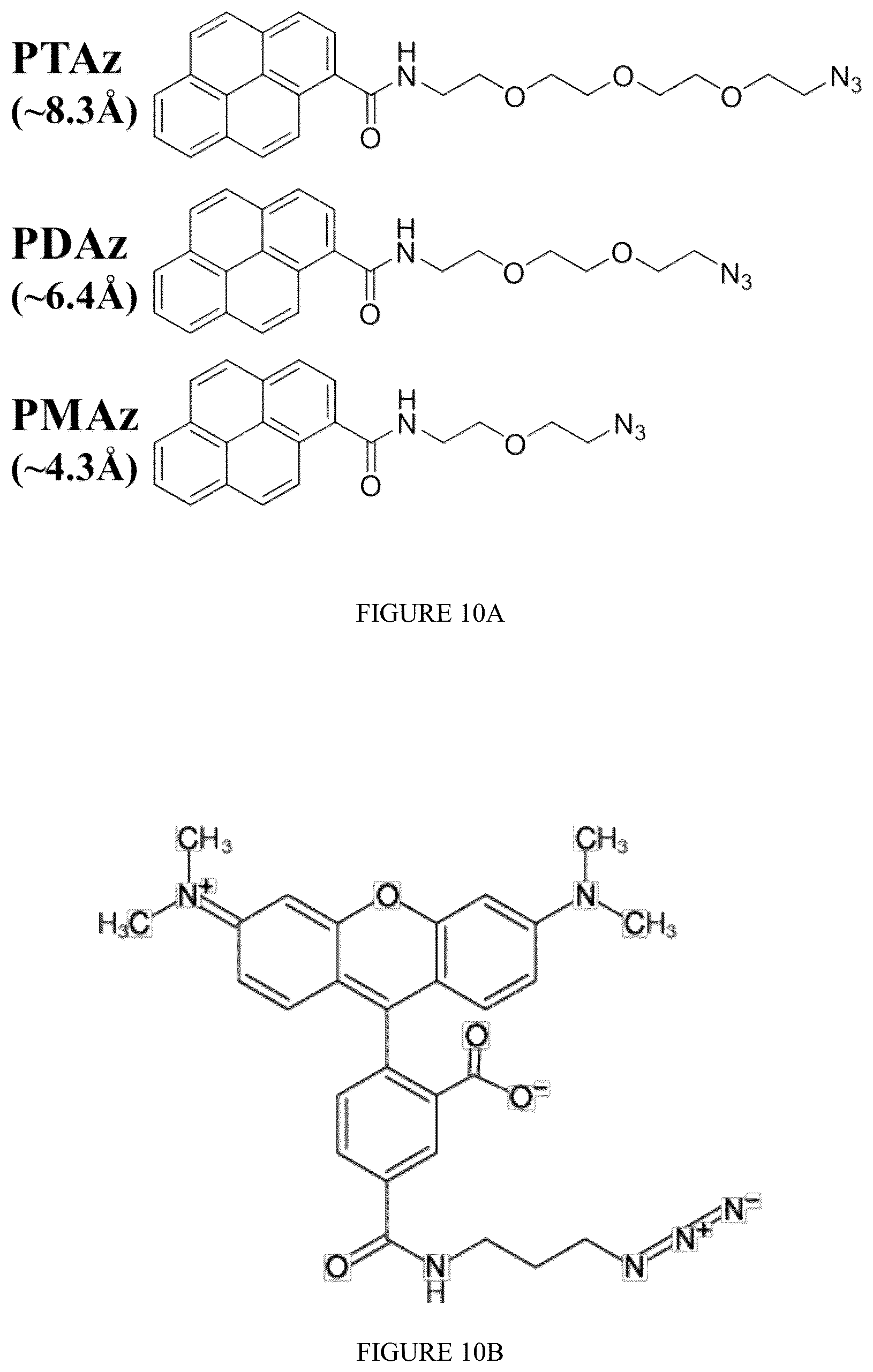 Patent US12359238 Figure 11 – Recombinant flavin-adenine dinucleotide glucose dehydrogenase and uses thereof