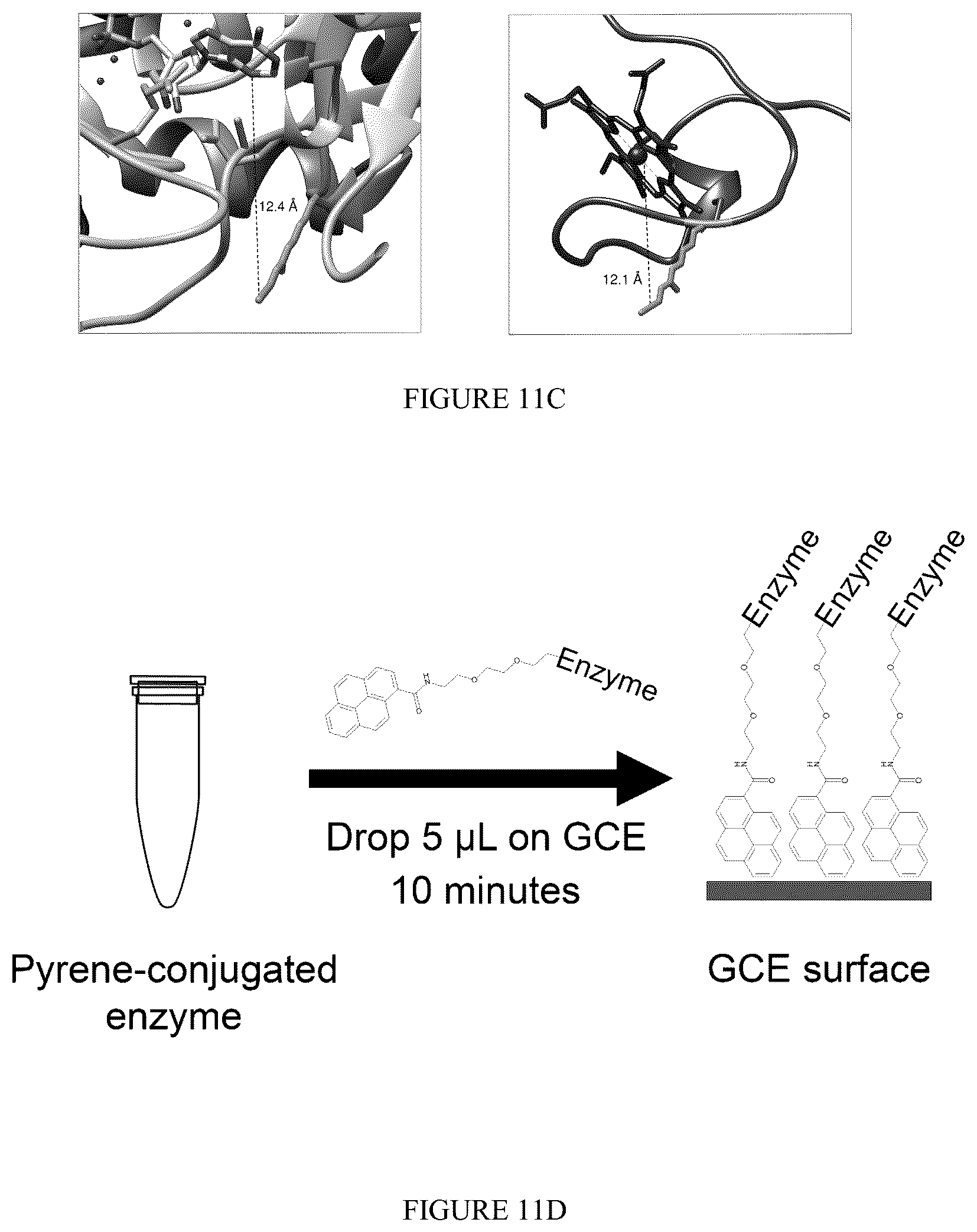 Patent US12359238 Figure 13 – Recombinant flavin-adenine dinucleotide glucose dehydrogenase and uses thereof