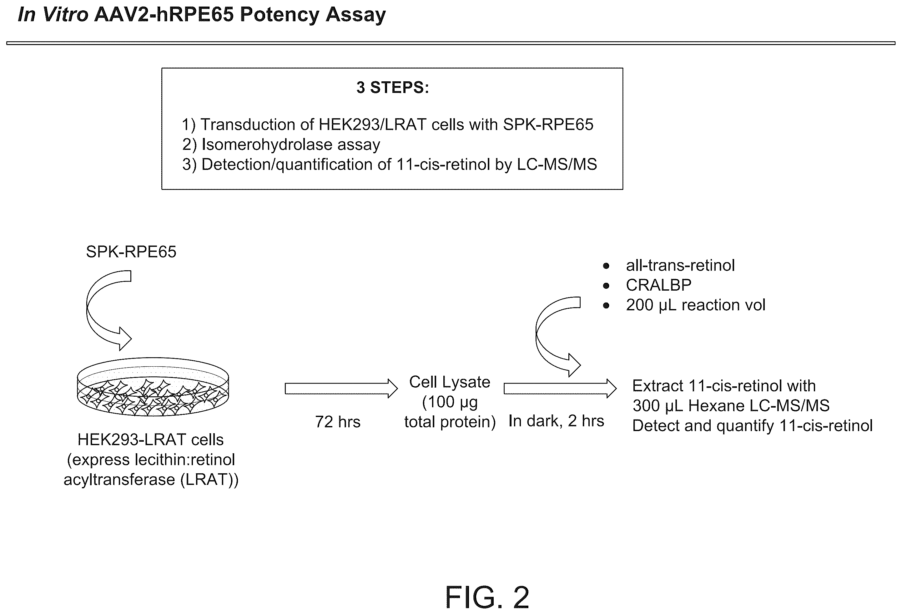 Patent US12359239 Figure 2 – Relative potency assay for viral vector encoding isomerohydrolases