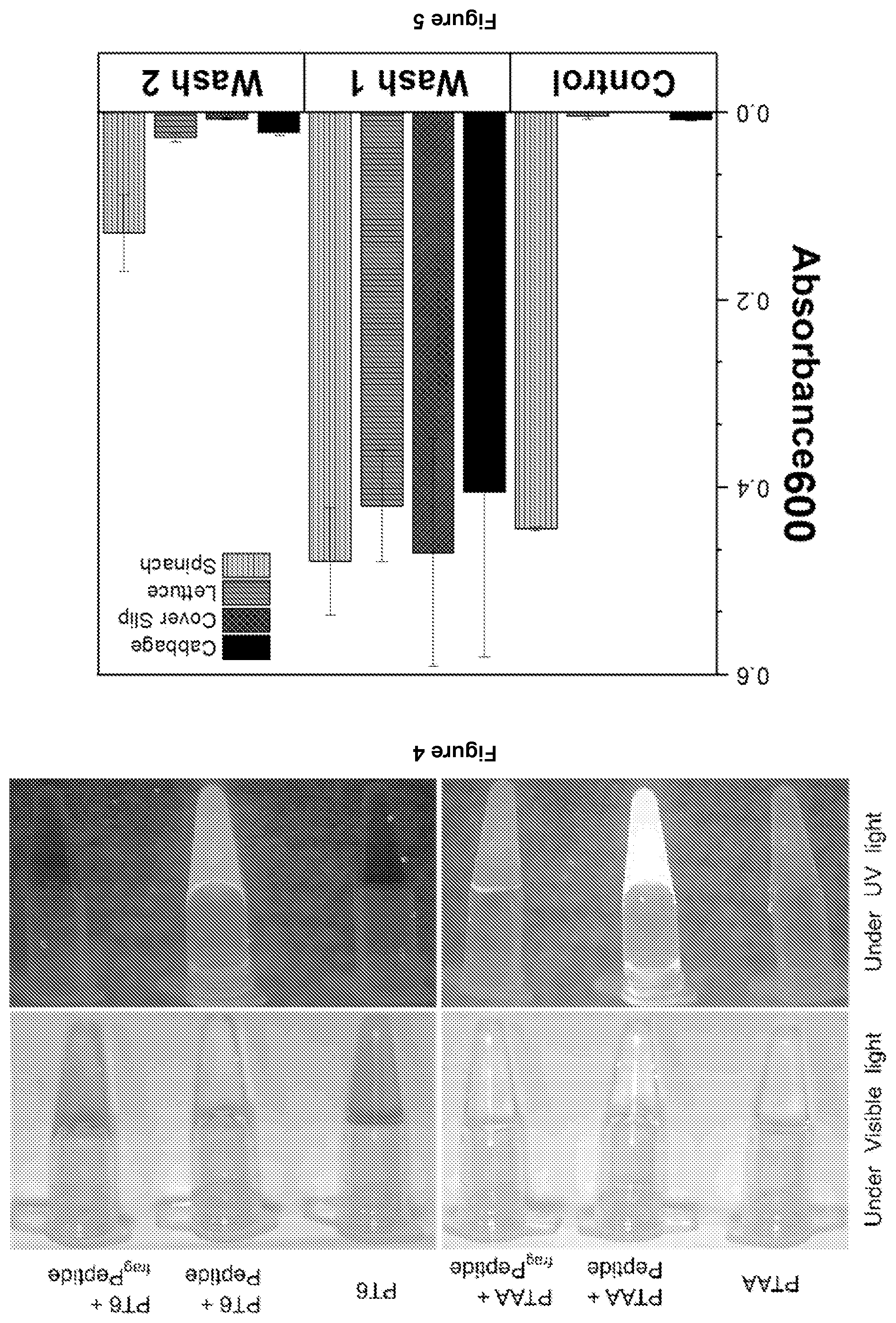 Patent US12359240 Figure 3 – Membrane protease-based methods for detection of bacteria