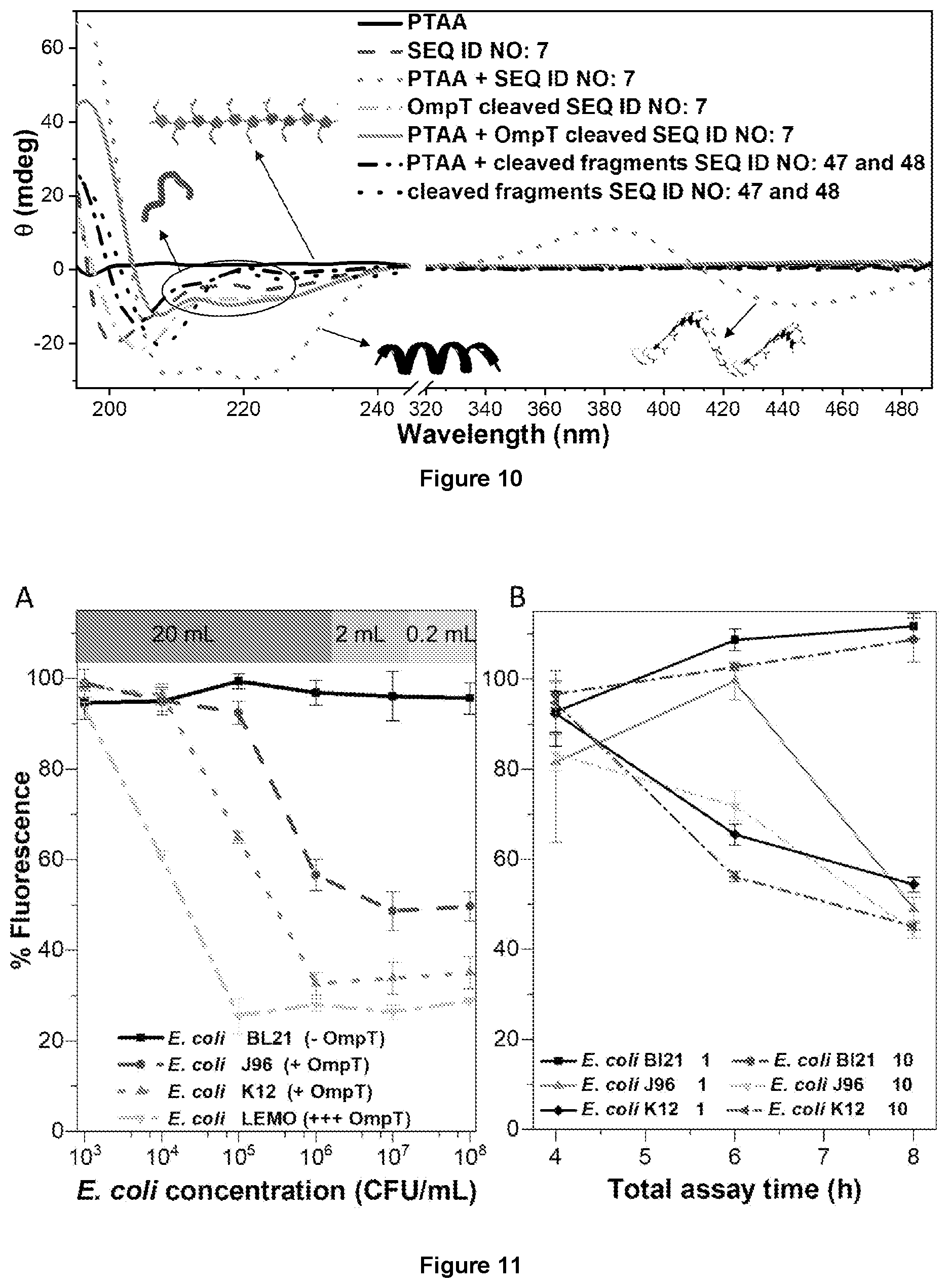Patent US12359240 Figure 7 – Membrane protease-based methods for detection of bacteria