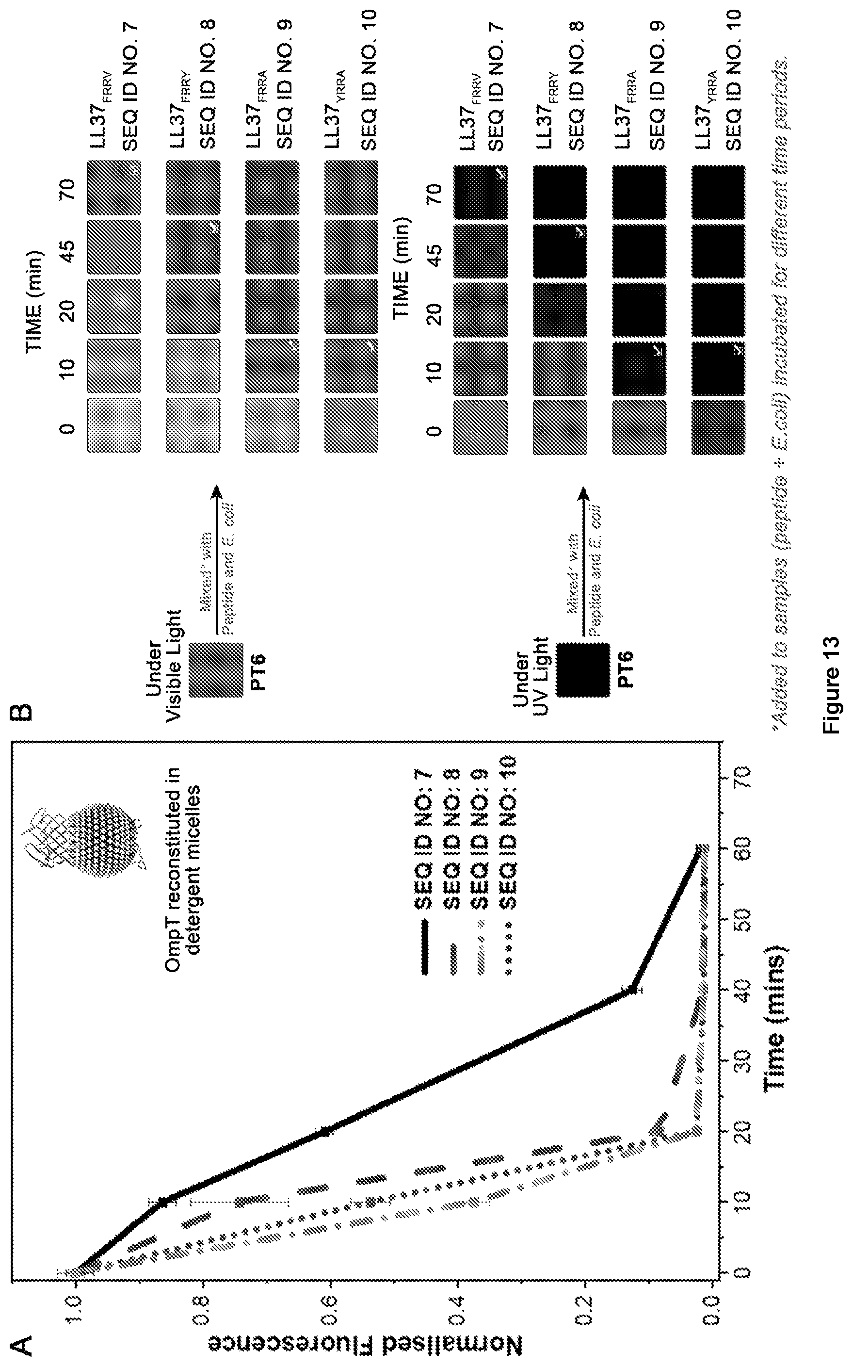 Patent US12359240 Figure 9 – Membrane protease-based methods for detection of bacteria