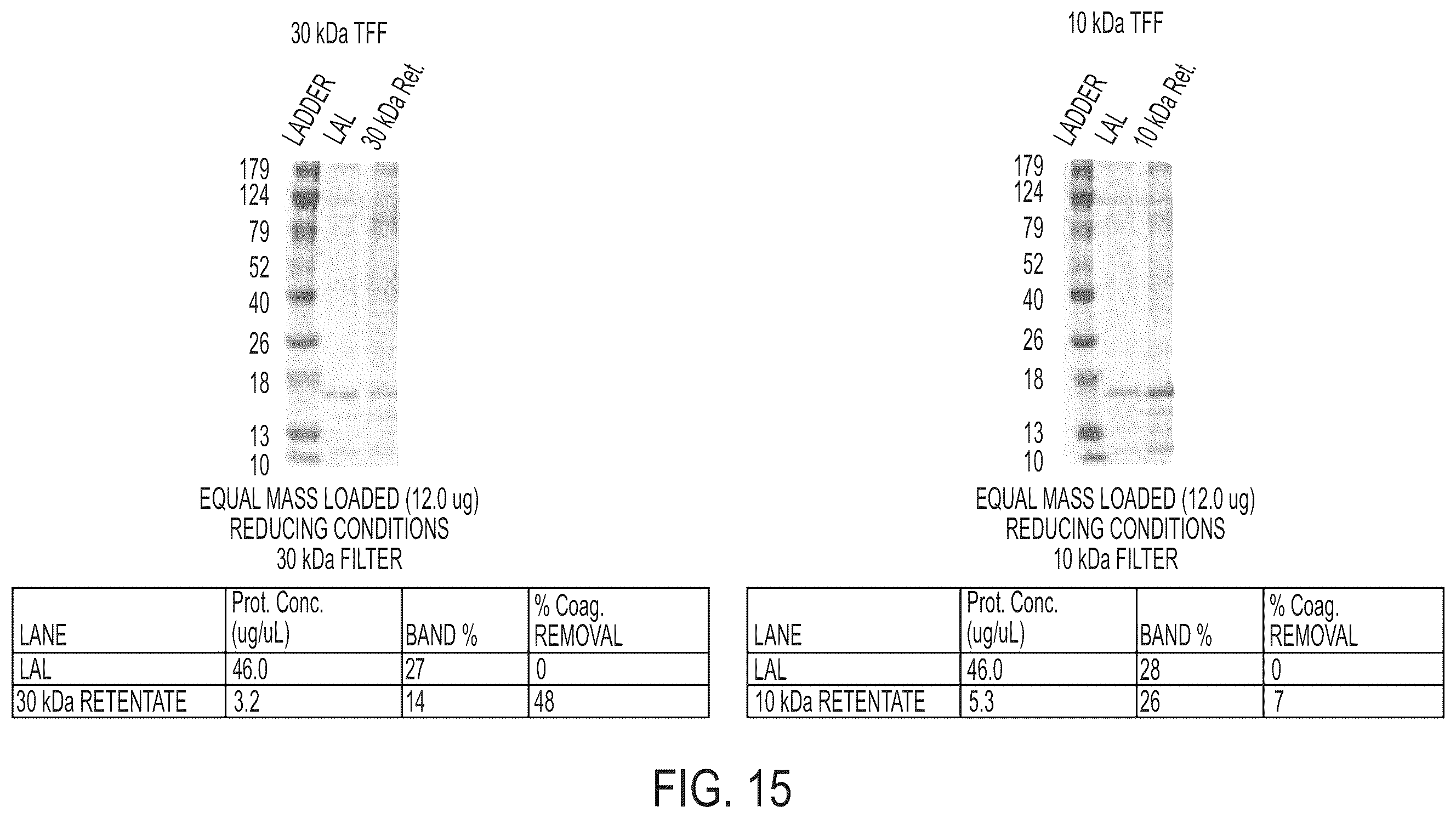Patent US12359241 Figure 15 – Coagulogen-free clarified limulus amebocyte lysate