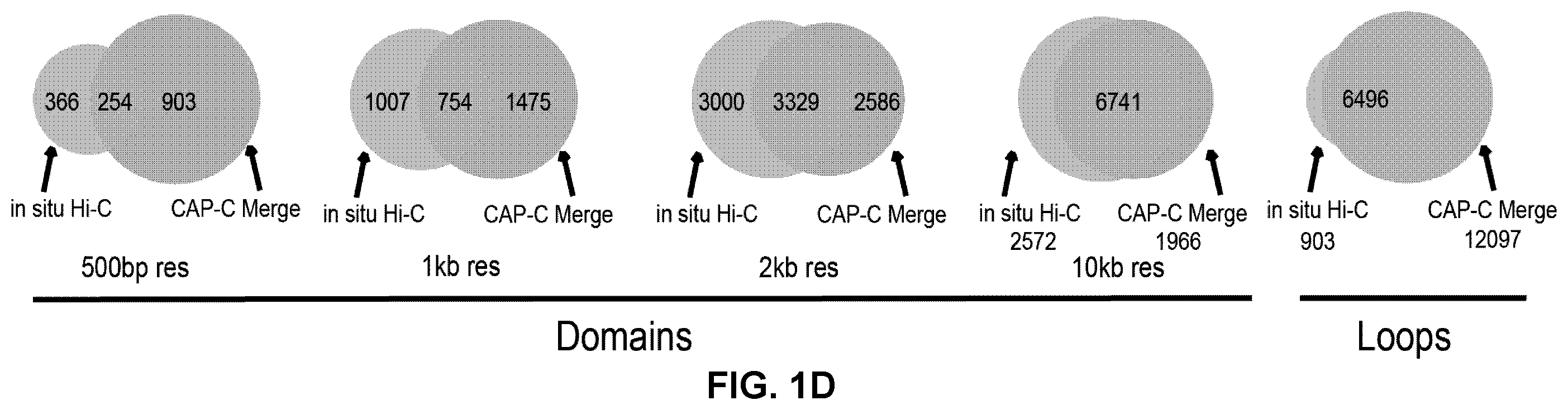 Patent US12359242 Figure 3 – Chemical platform assisted proximity capture (CAP-C)