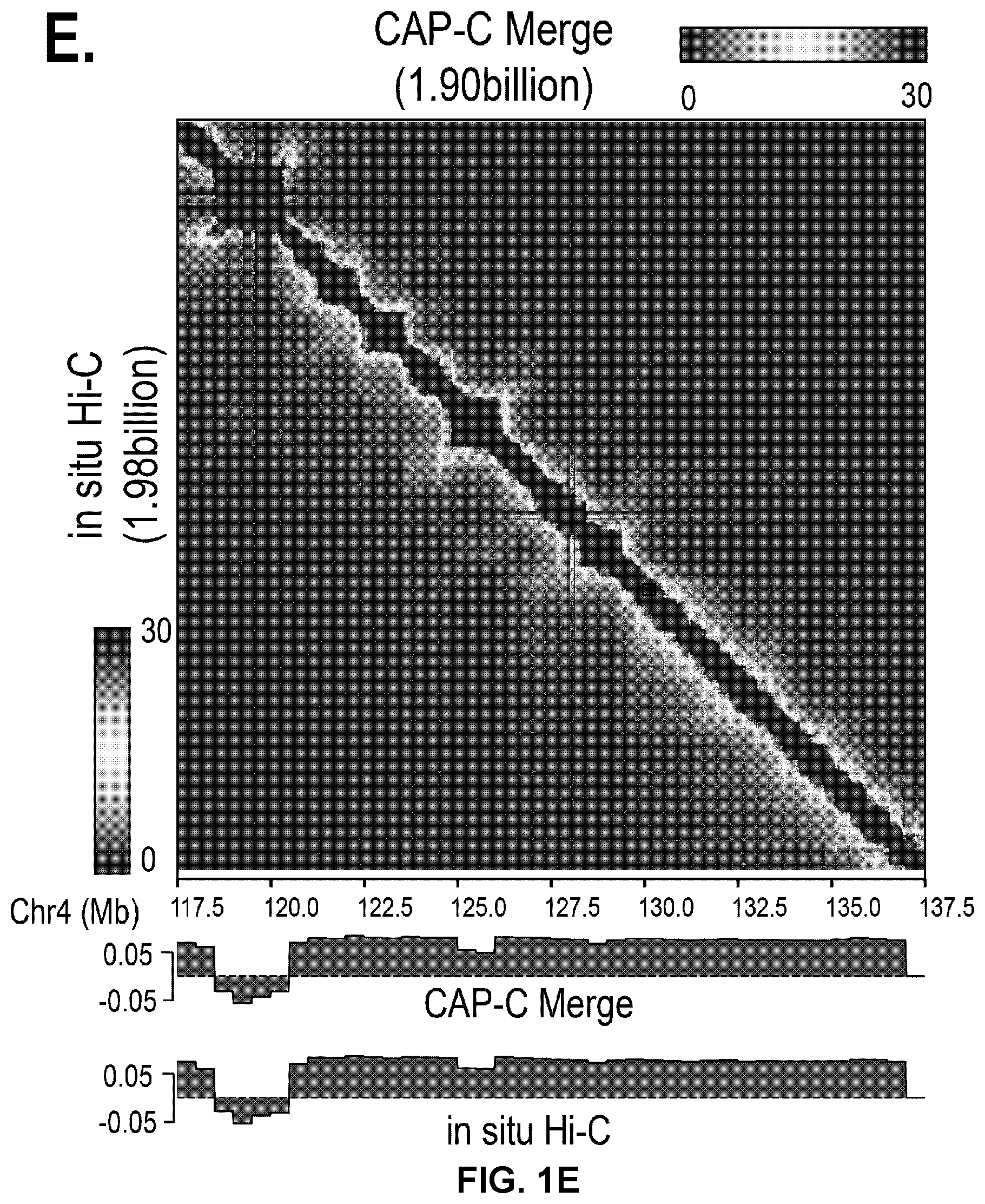 Patent US12359242 Figure 4 – Chemical platform assisted proximity capture (CAP-C)