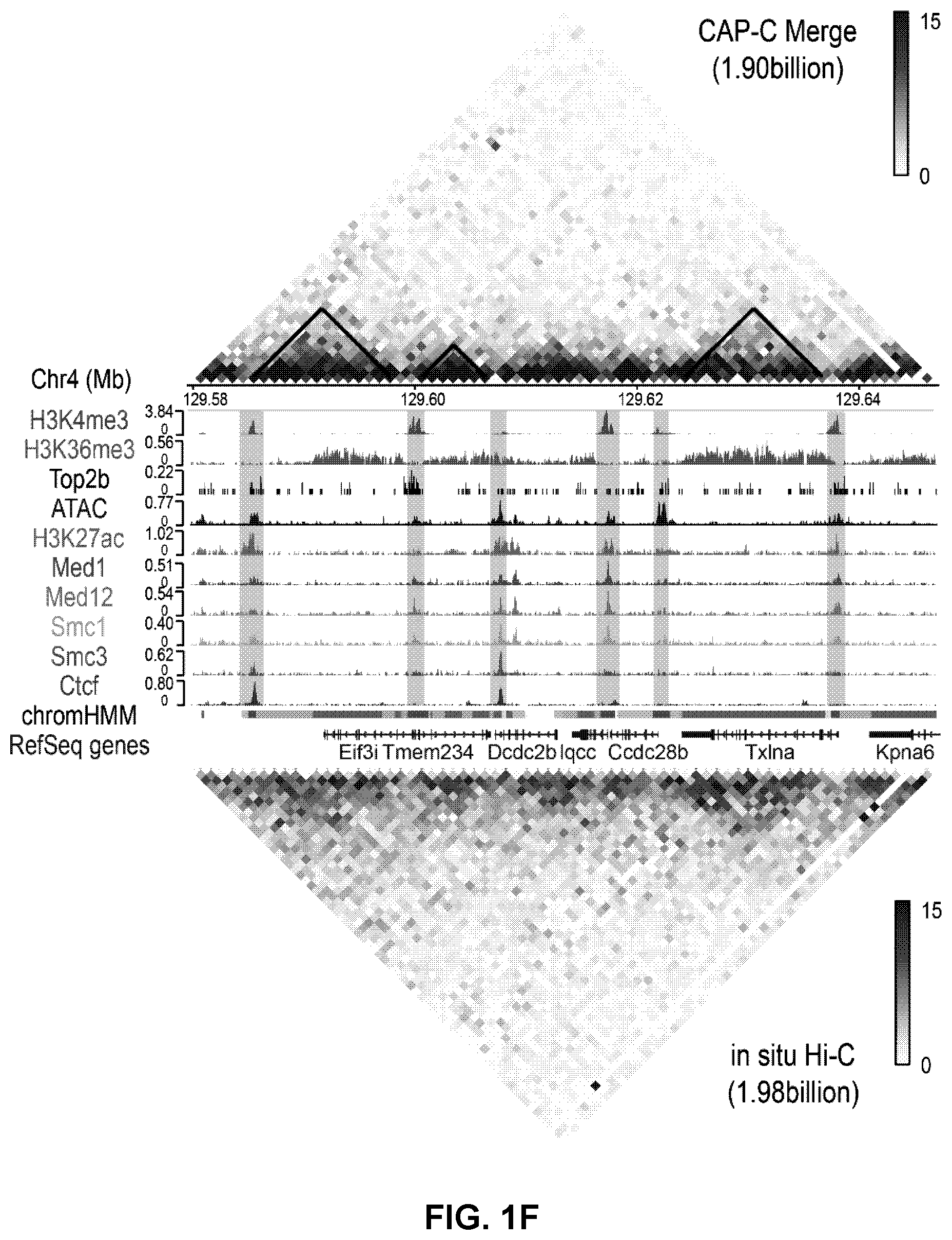 Patent US12359242 Figure 5 – Chemical platform assisted proximity capture (CAP-C)