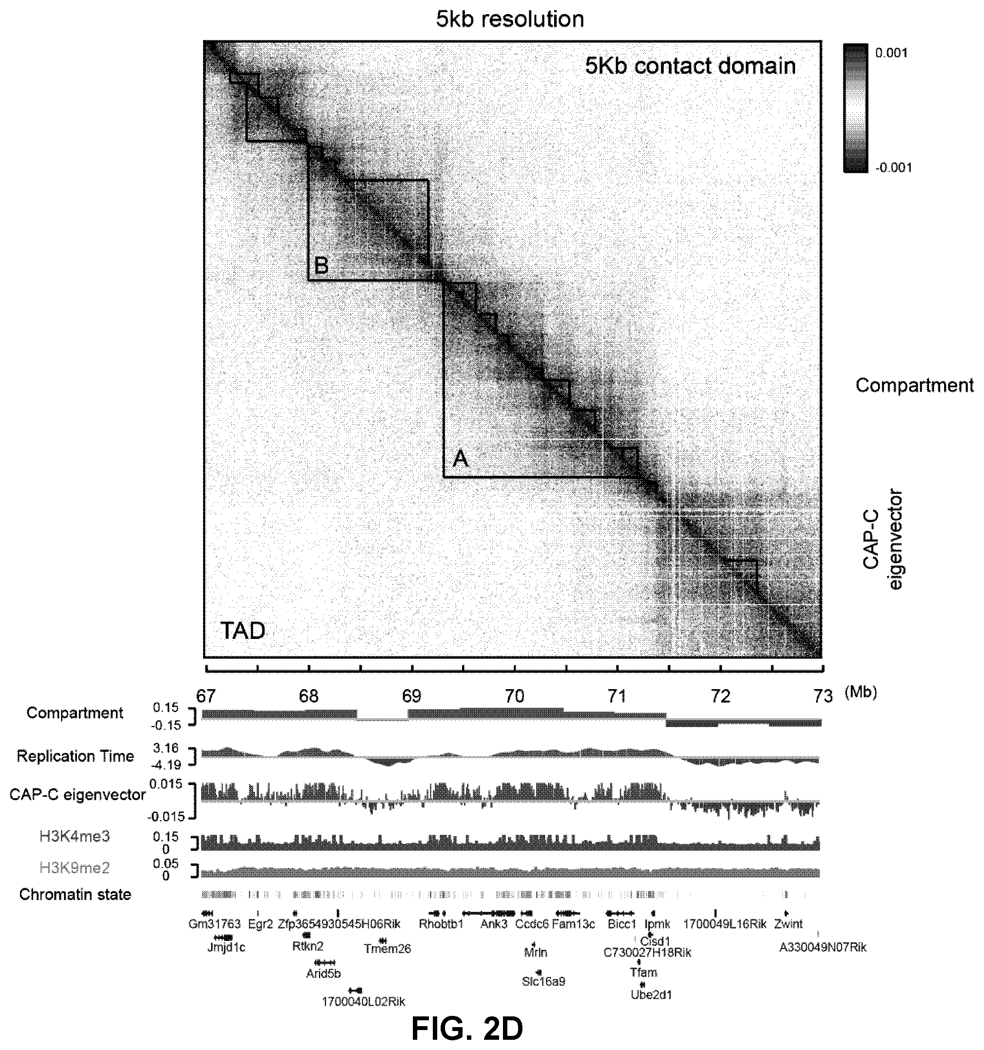 Patent US12359242 Figure 8 – Chemical platform assisted proximity capture (CAP-C)